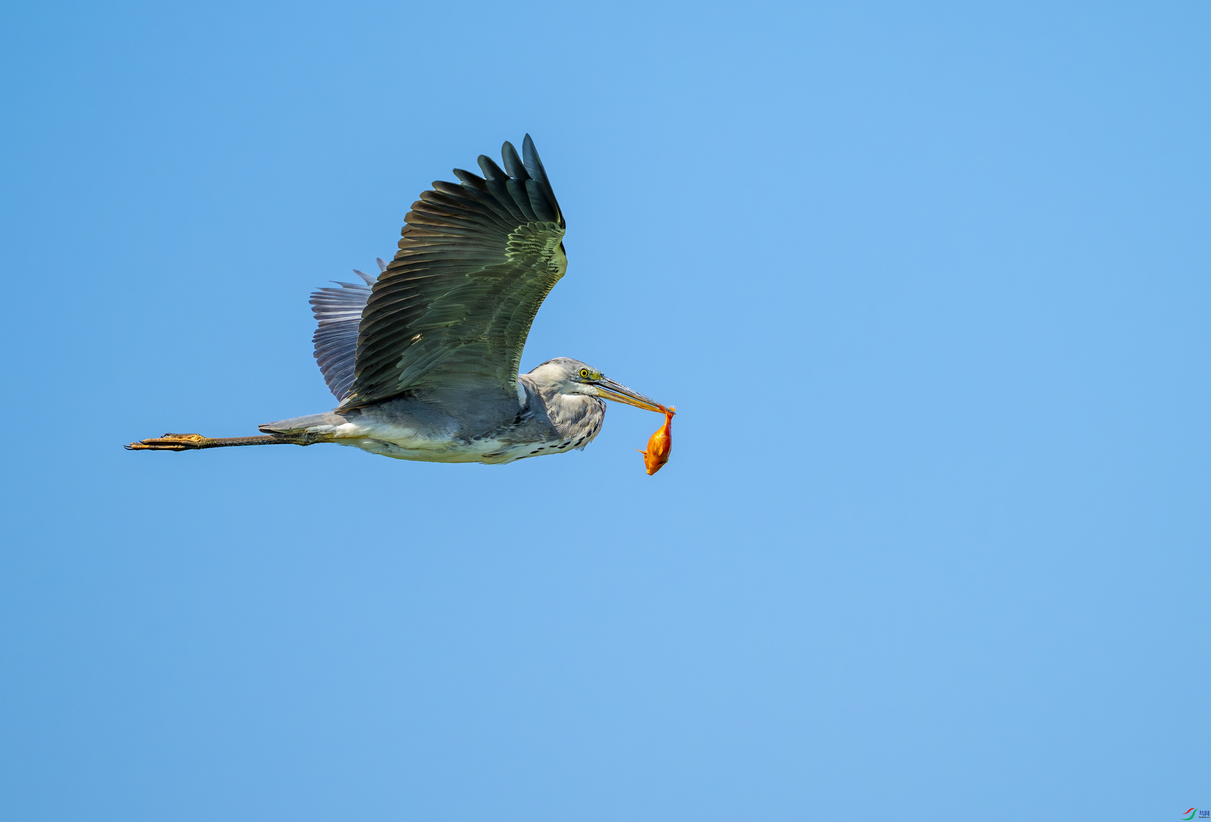 DSC_9349.jpg