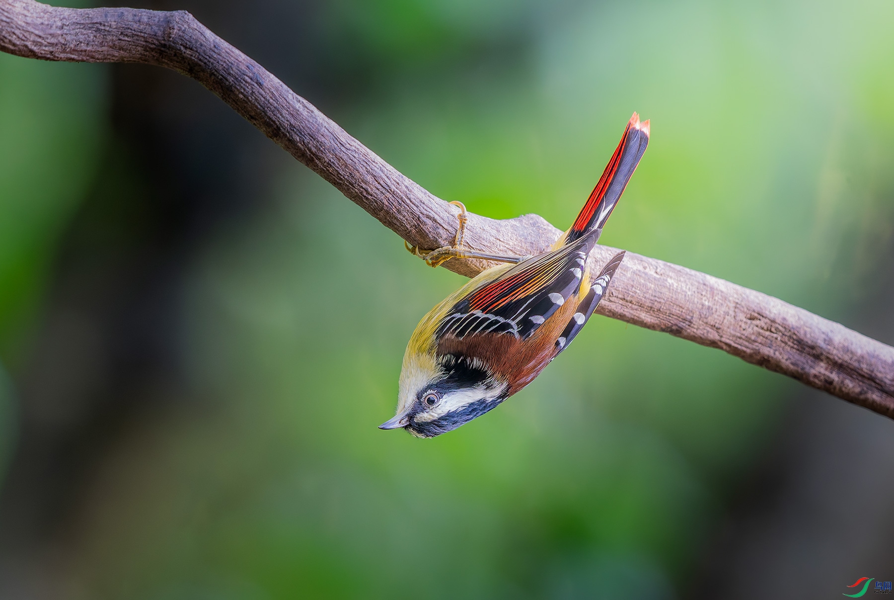 DSC_7496.jpg