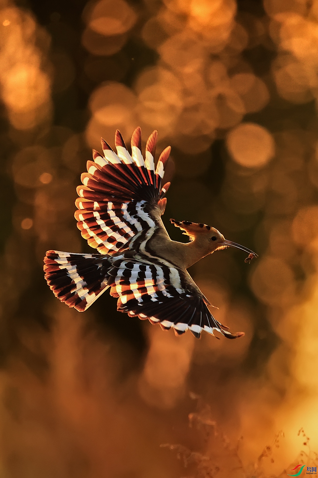 0E8A1416-����.jpg