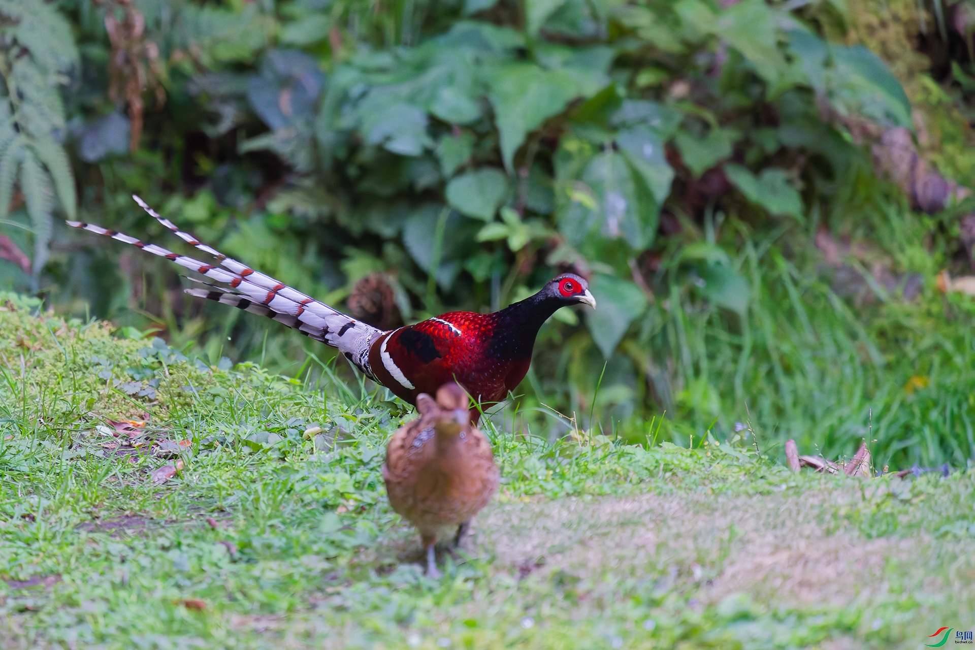 3DSC_8949_DxO_DxOa.jpg