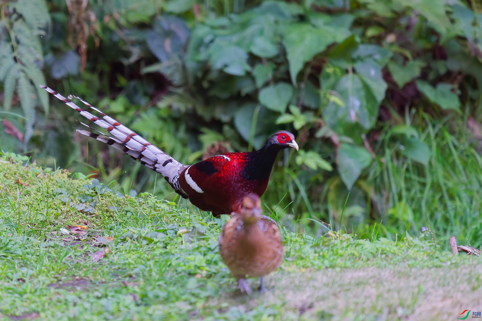 5DSC_8948_DxO_DxOa.jpg