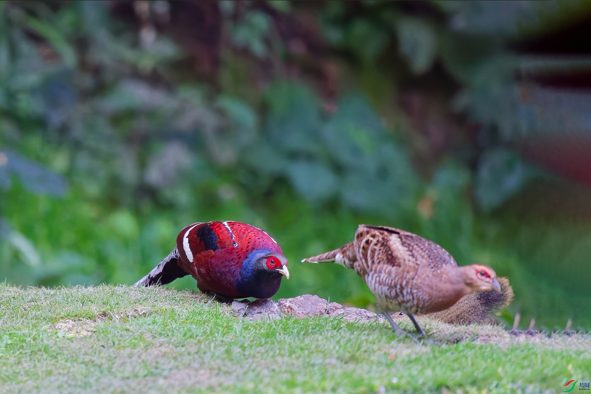 6DSC_8989_DxO_DxOa.jpg