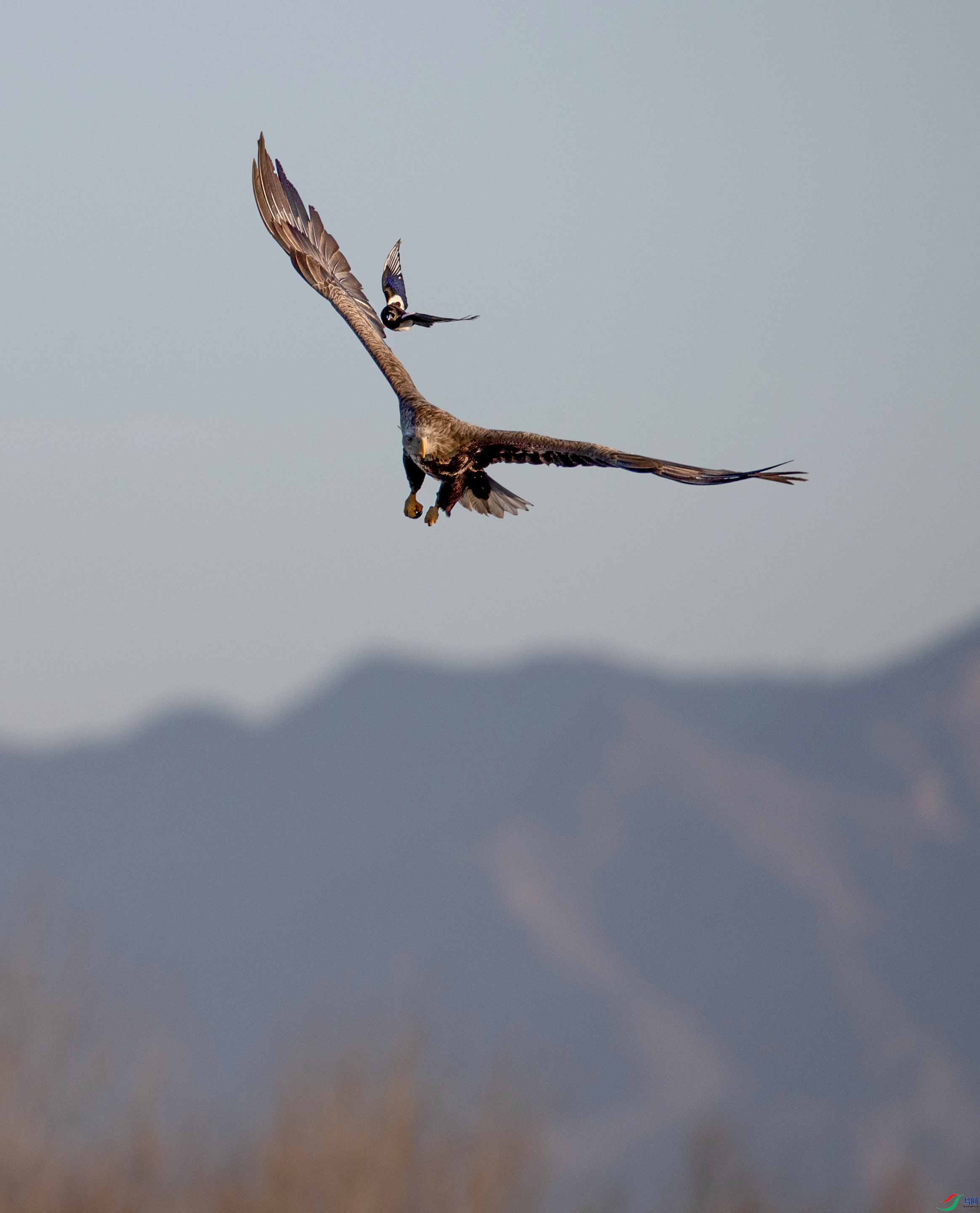 A79I1269 ����.jpg