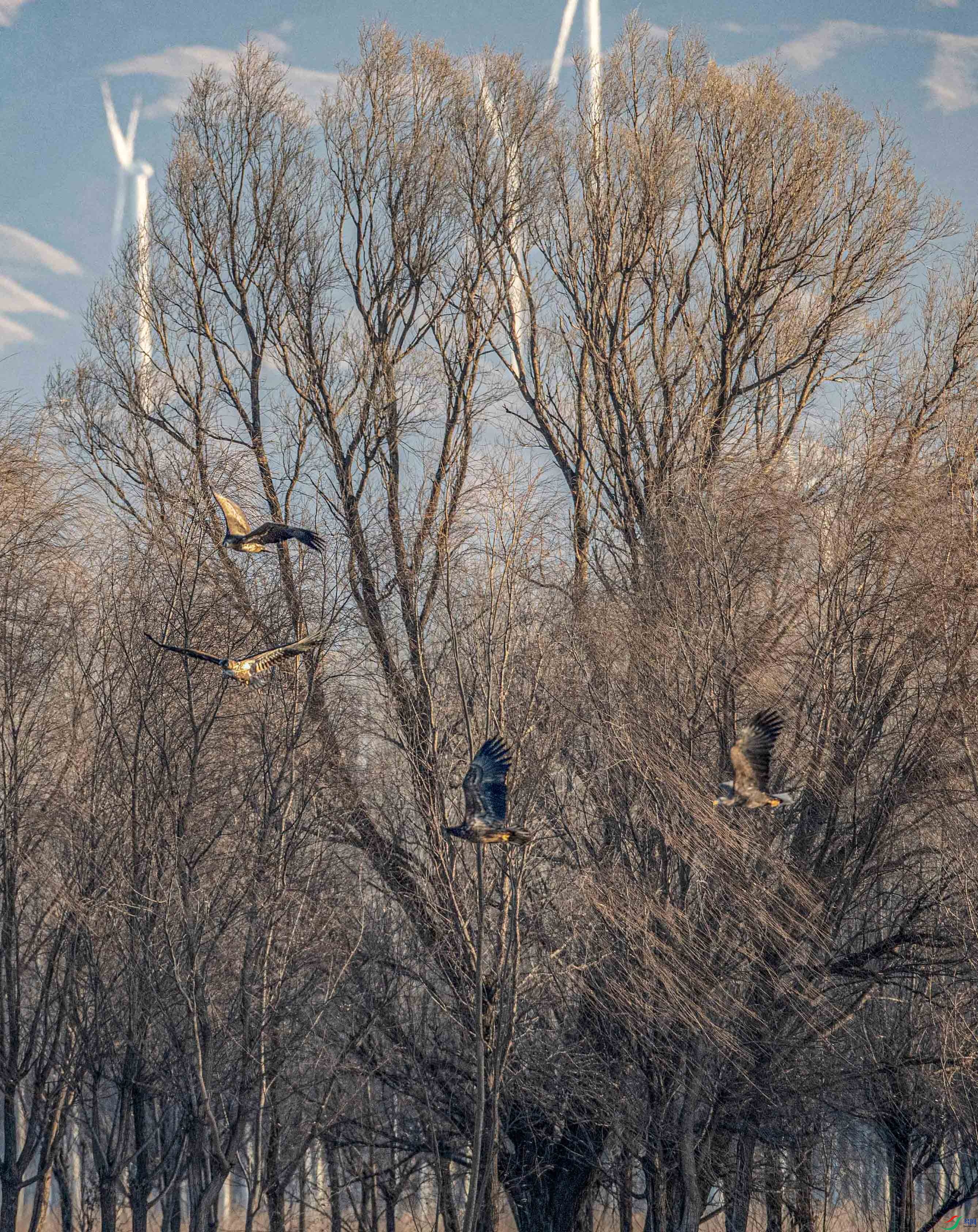 A79I1320 ����.jpg