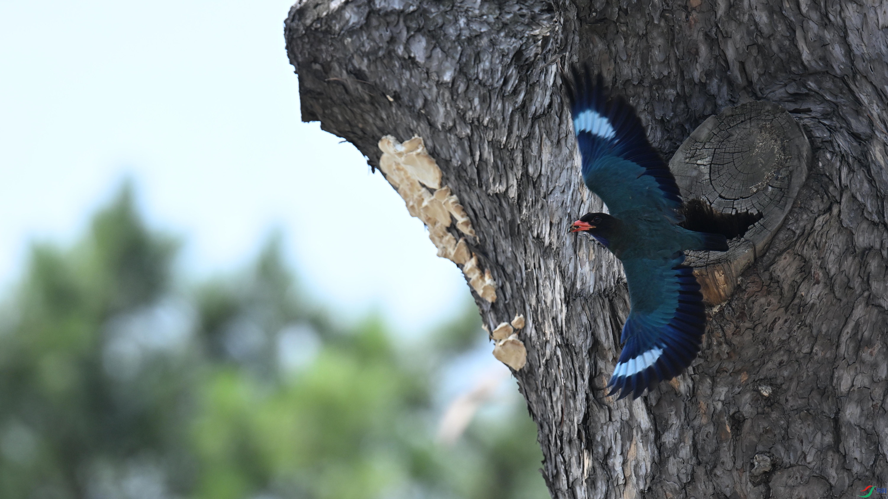 ������ (11).jpg