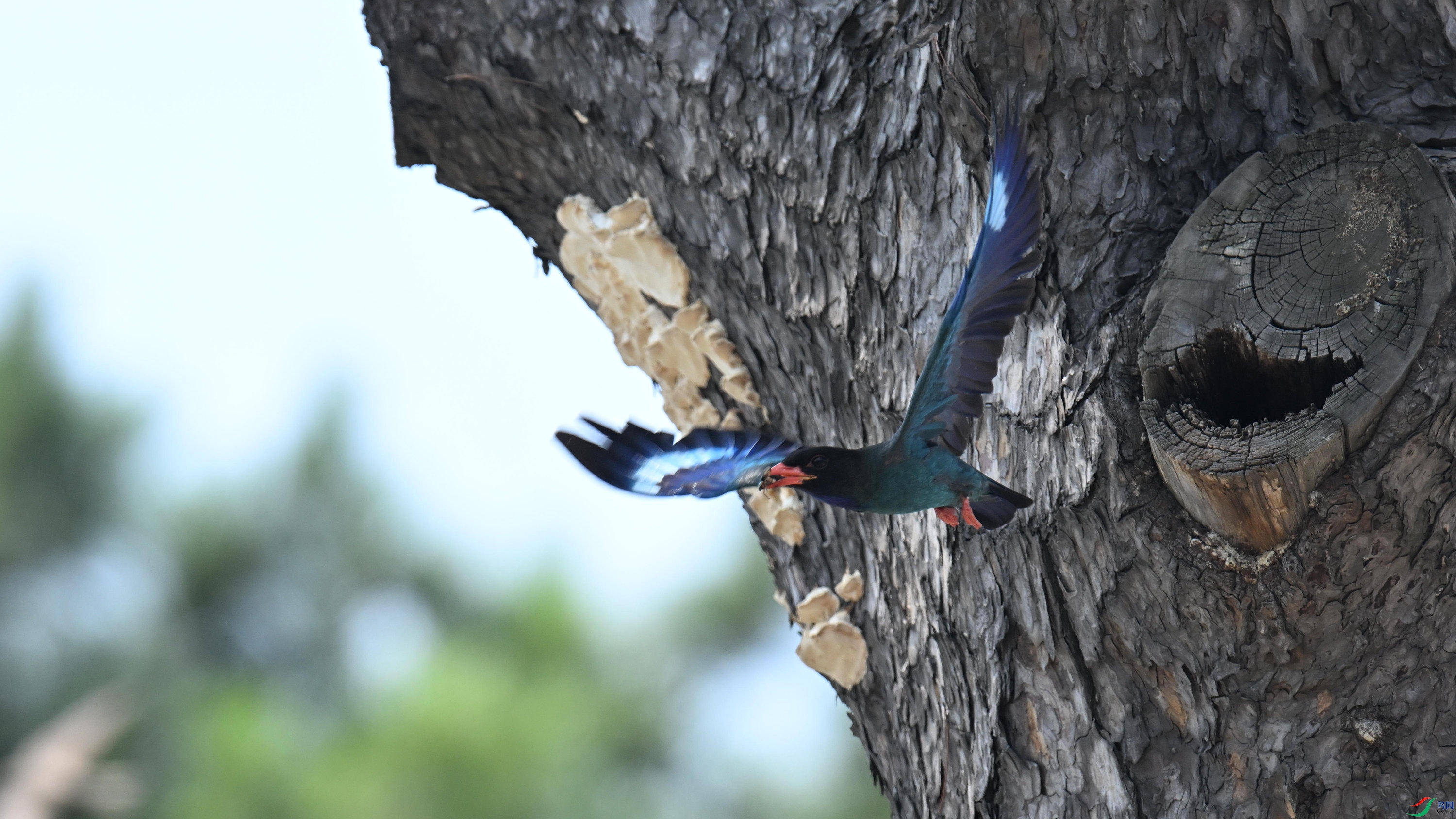 ������ (12).jpg