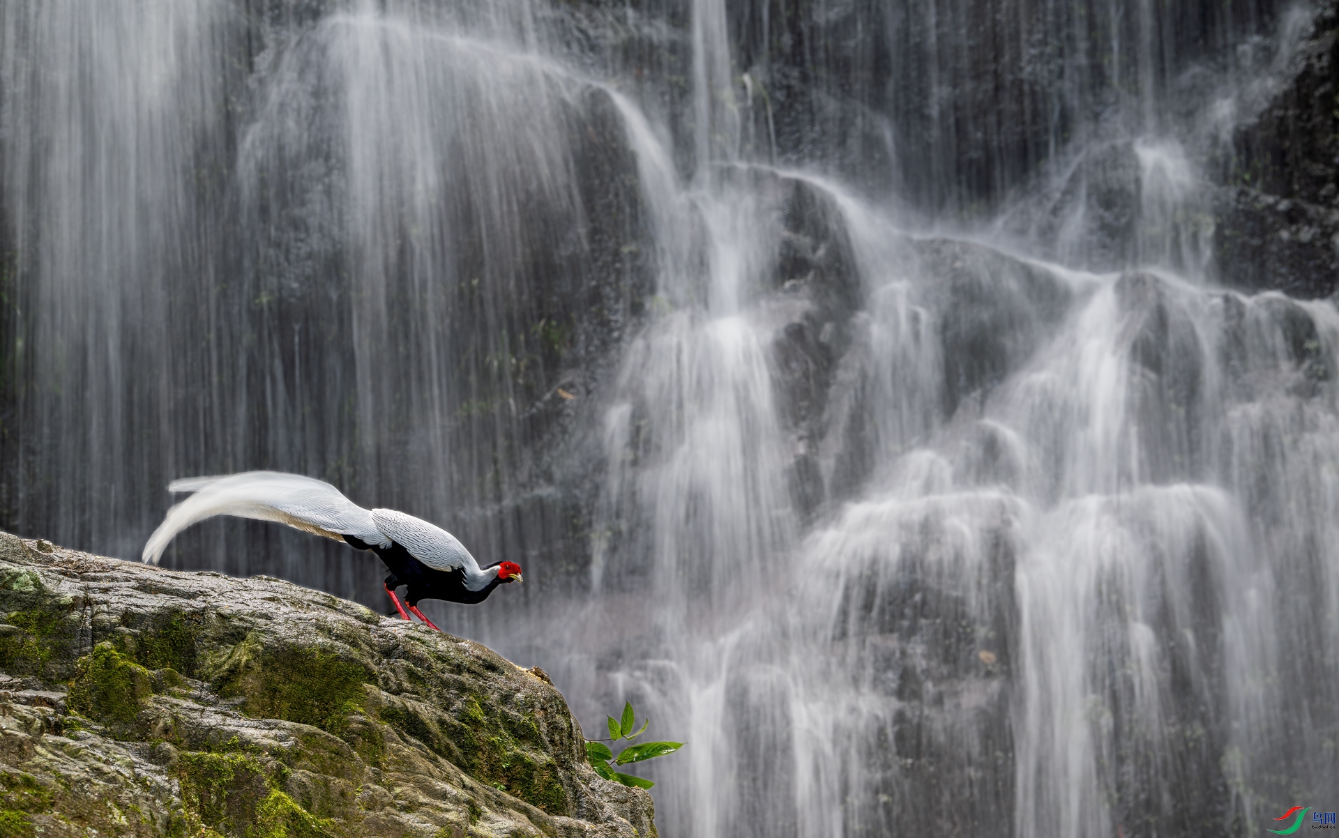 DSC_0351-1.jpg