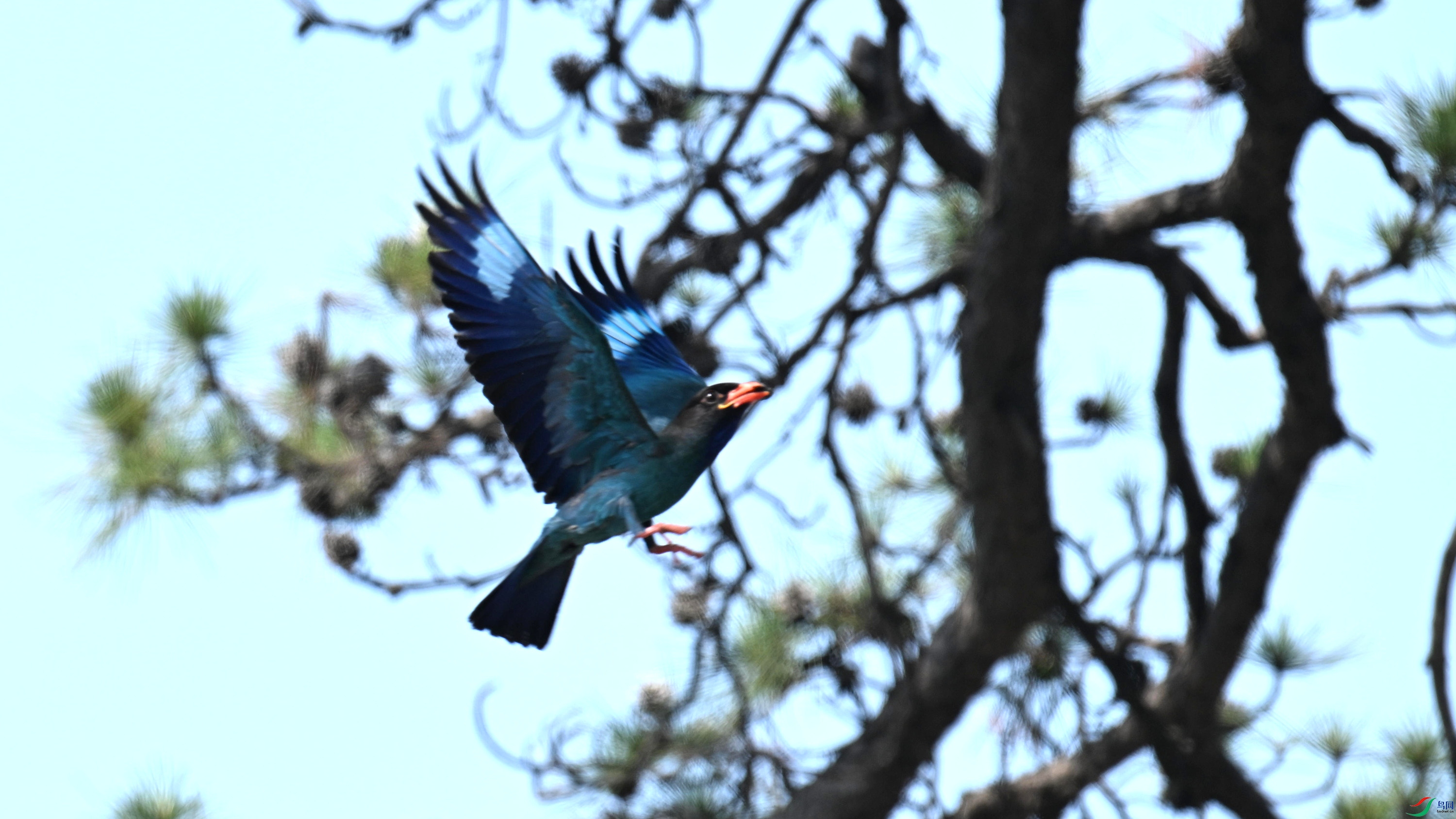 ������ (21).jpg