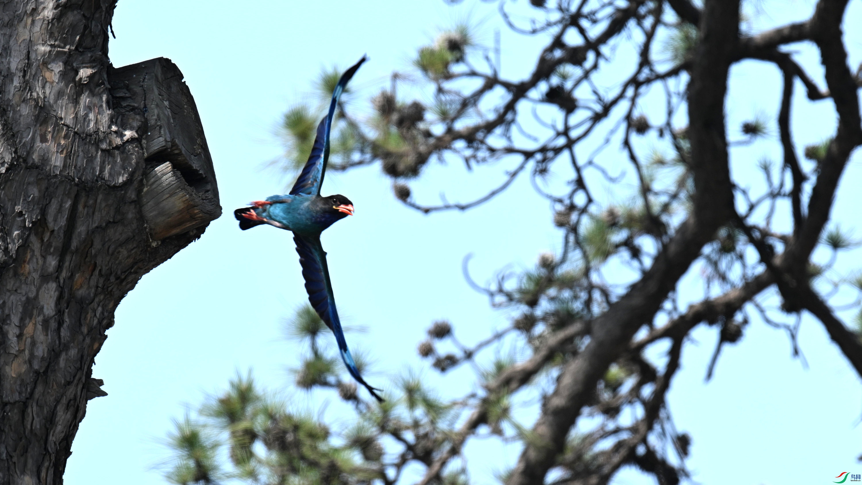 ������ (22).jpg