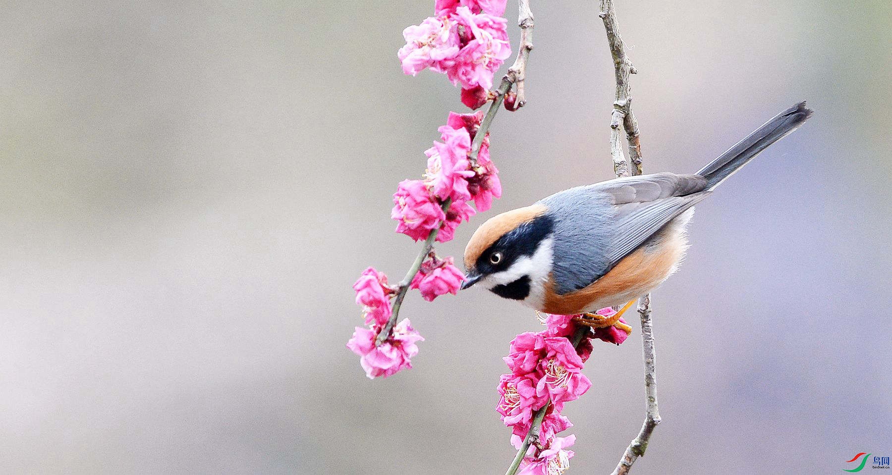 DSC_6935_���� (2).jpg