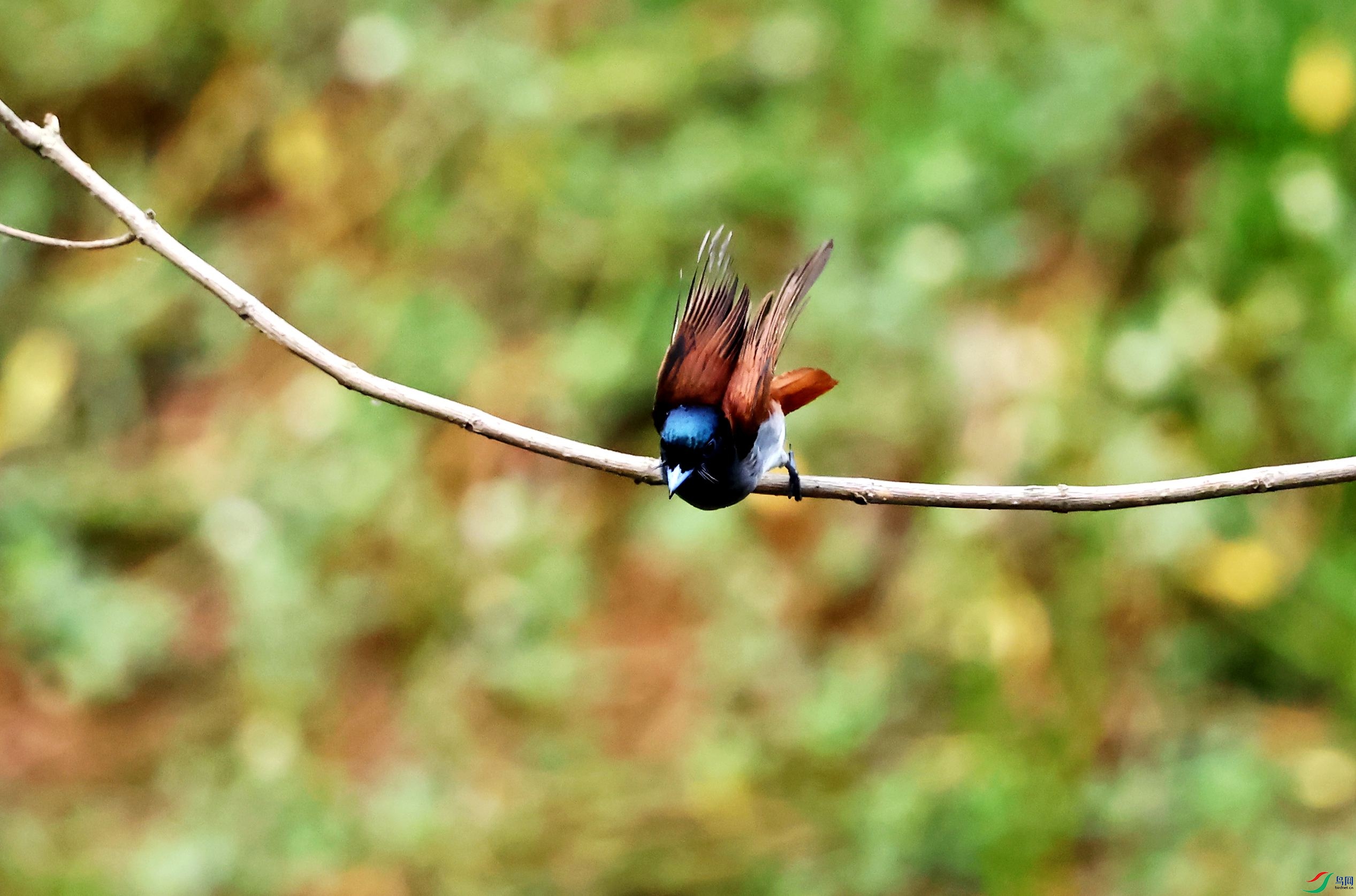 練��� (13).JPG