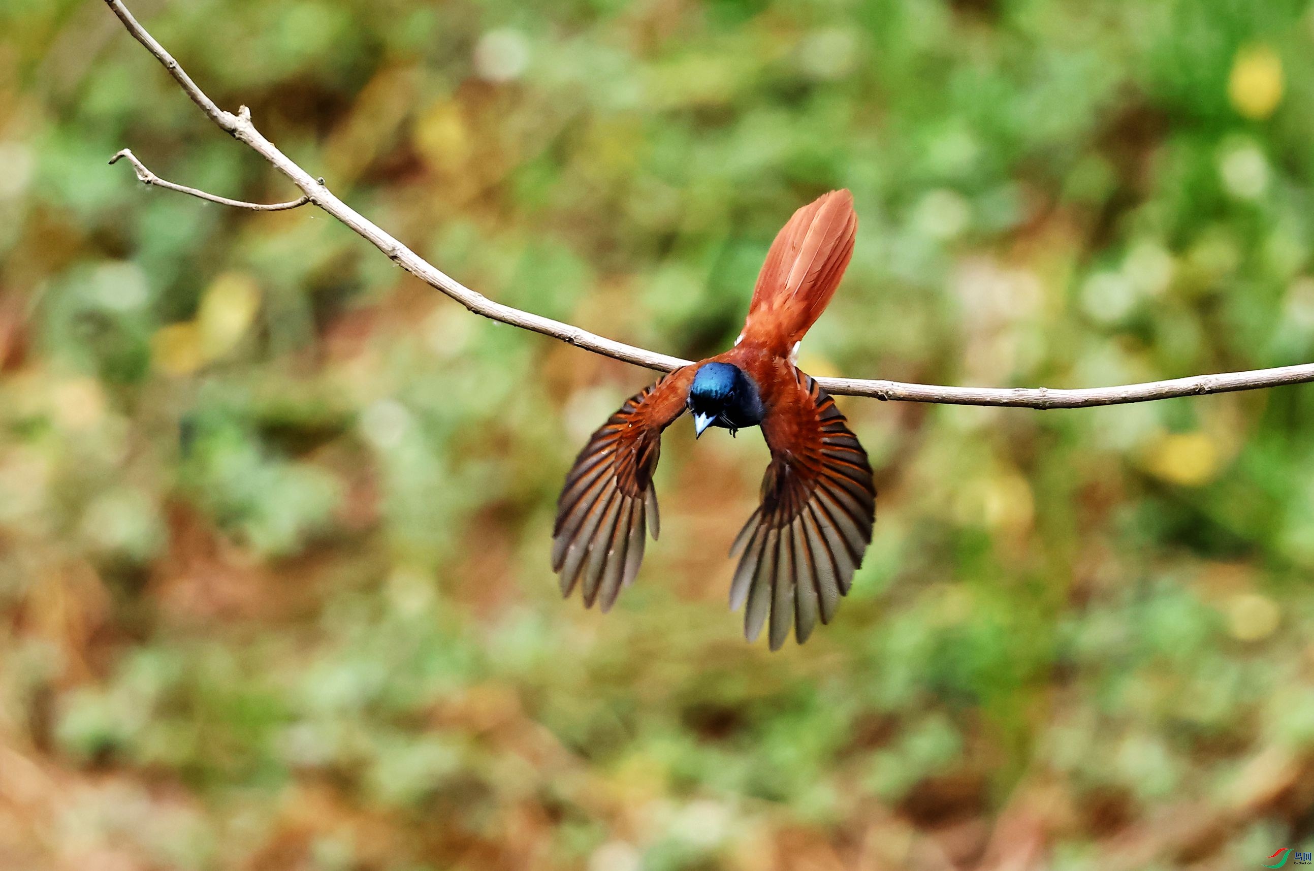 練��� (14).JPG