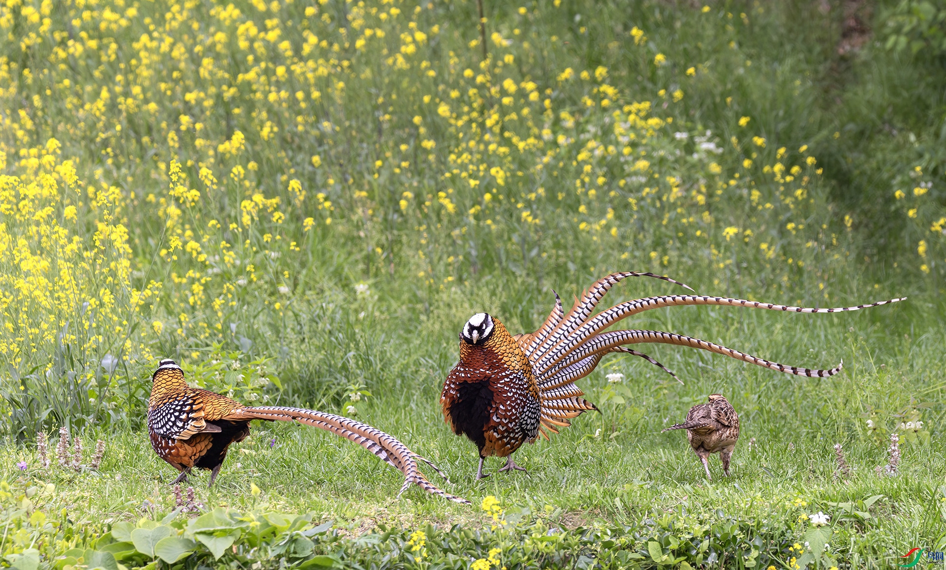 407A8642------22  .jpg