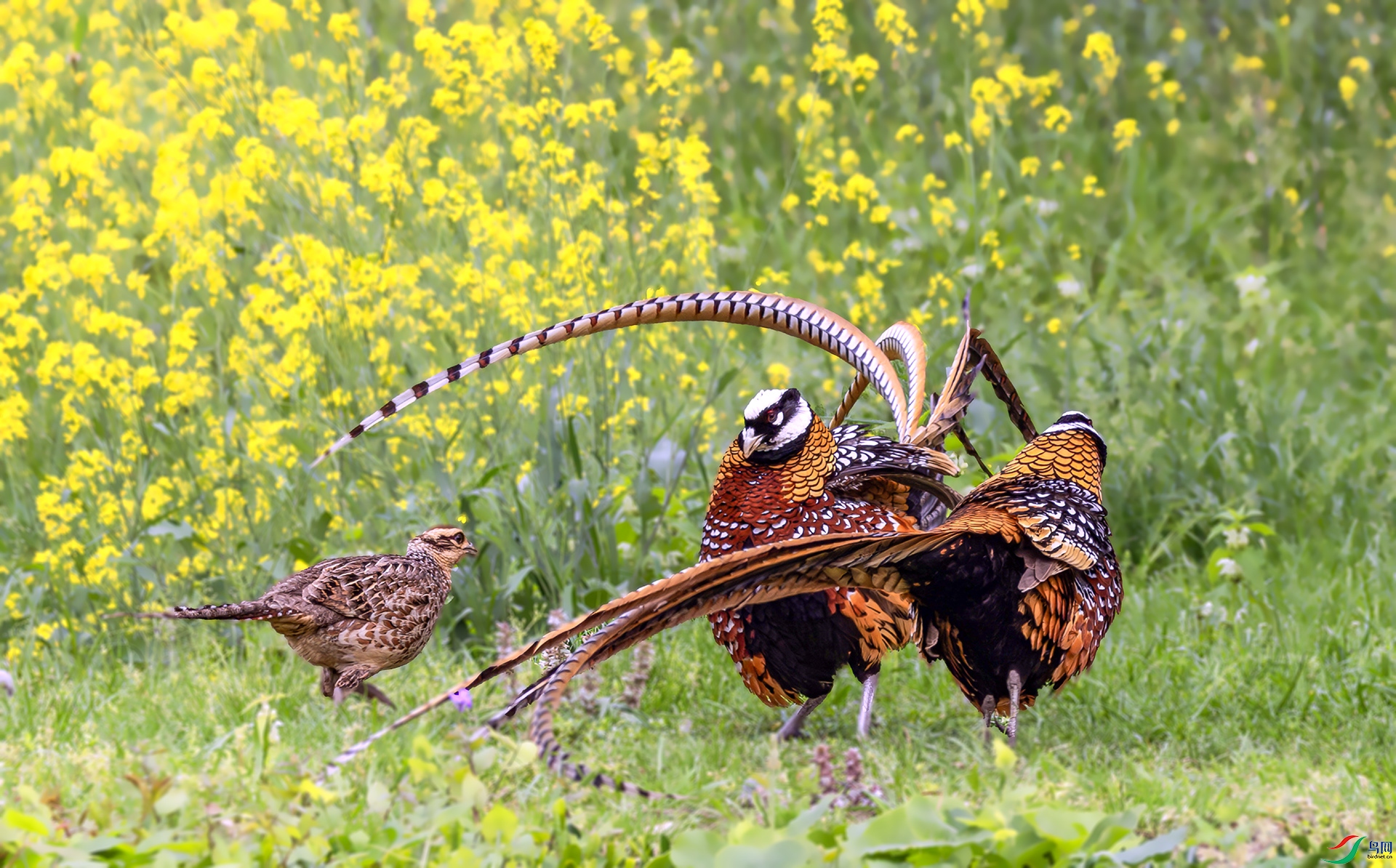 407A8730-====22   .jpg