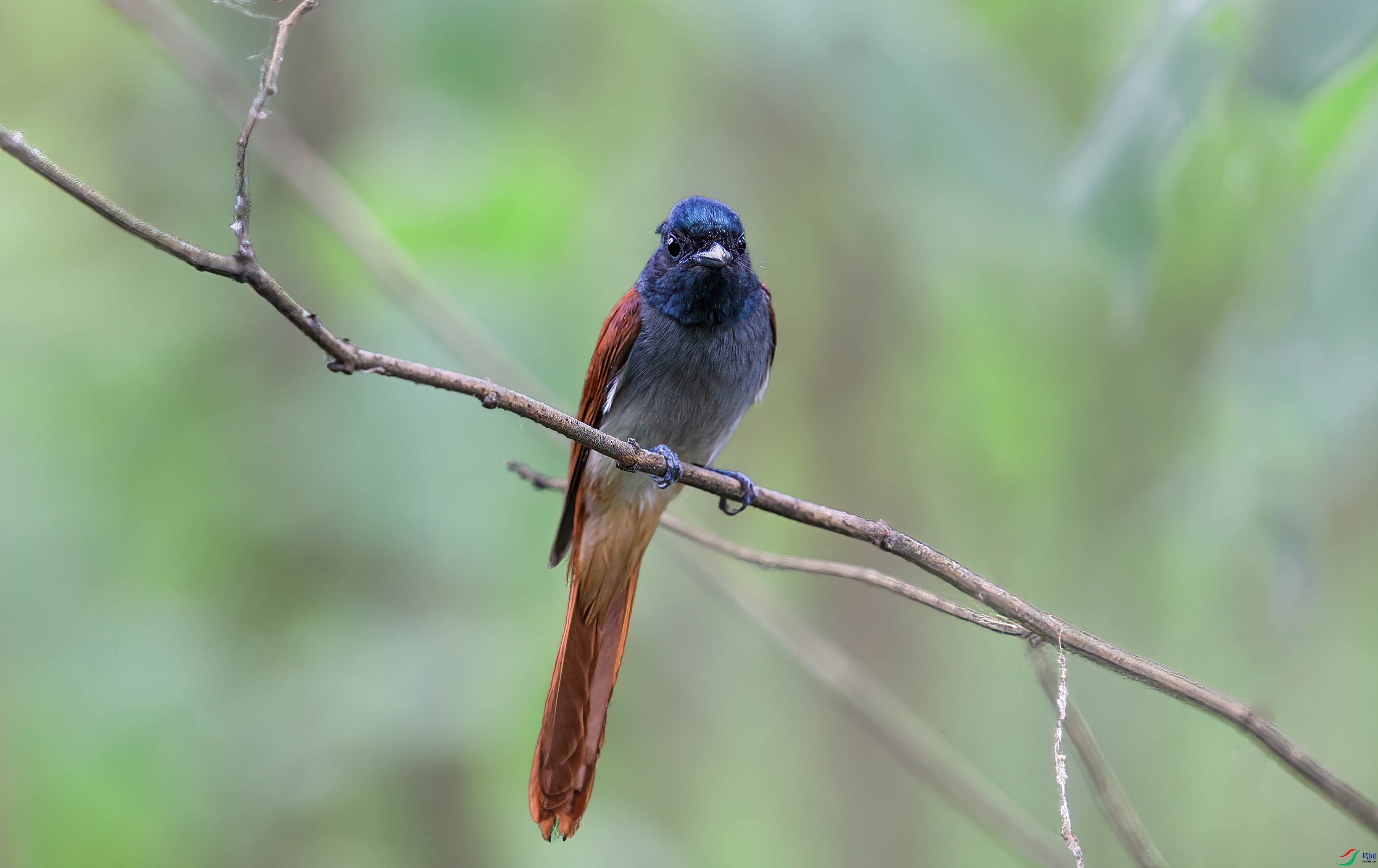 AQ4P0649-1.jpg