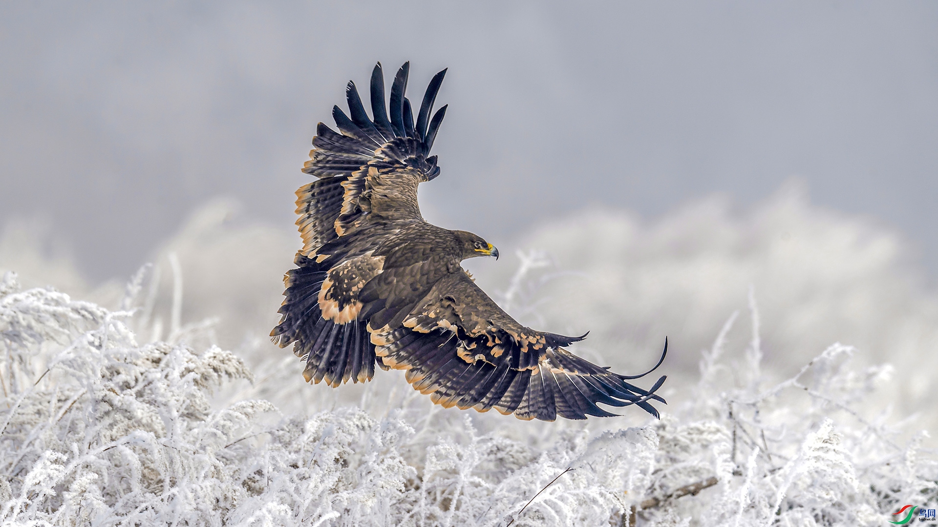 _WGB6140-NEF_DxO_DeepPRIME (2).jpg