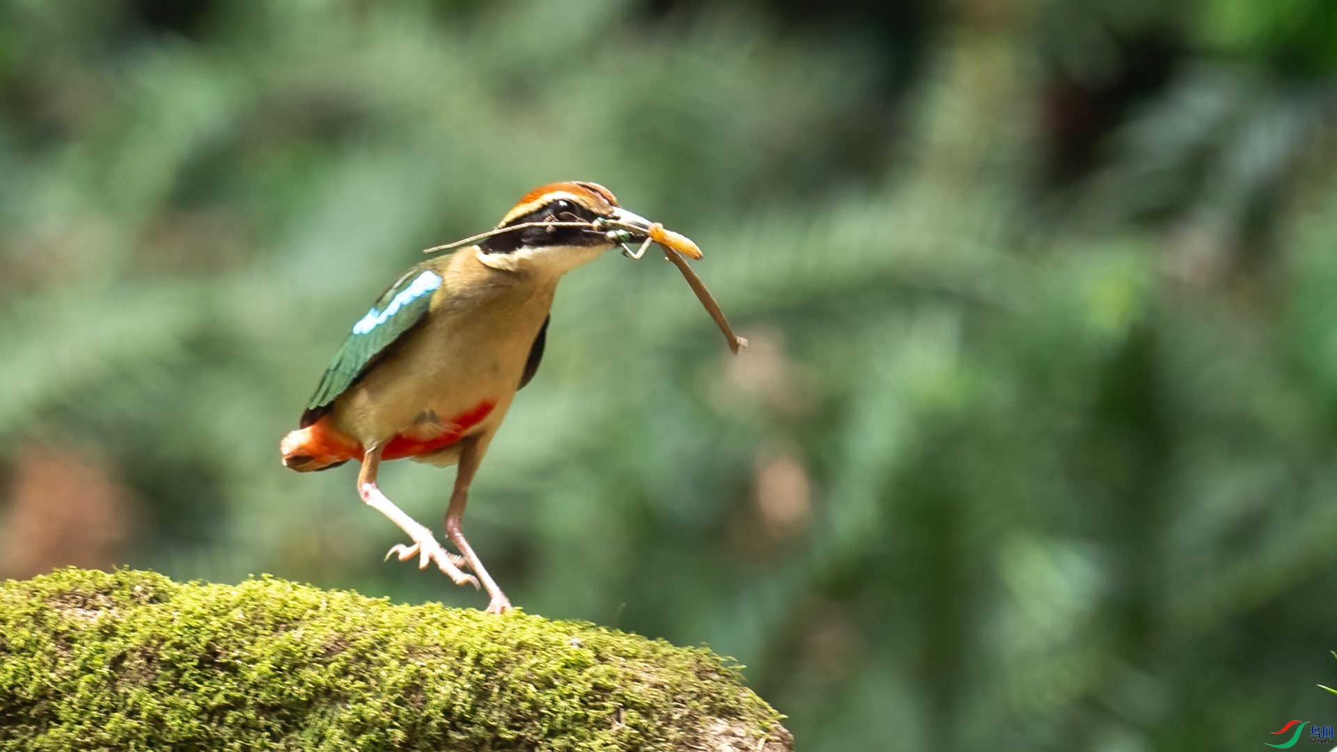 _DSC6835 ����.jpg