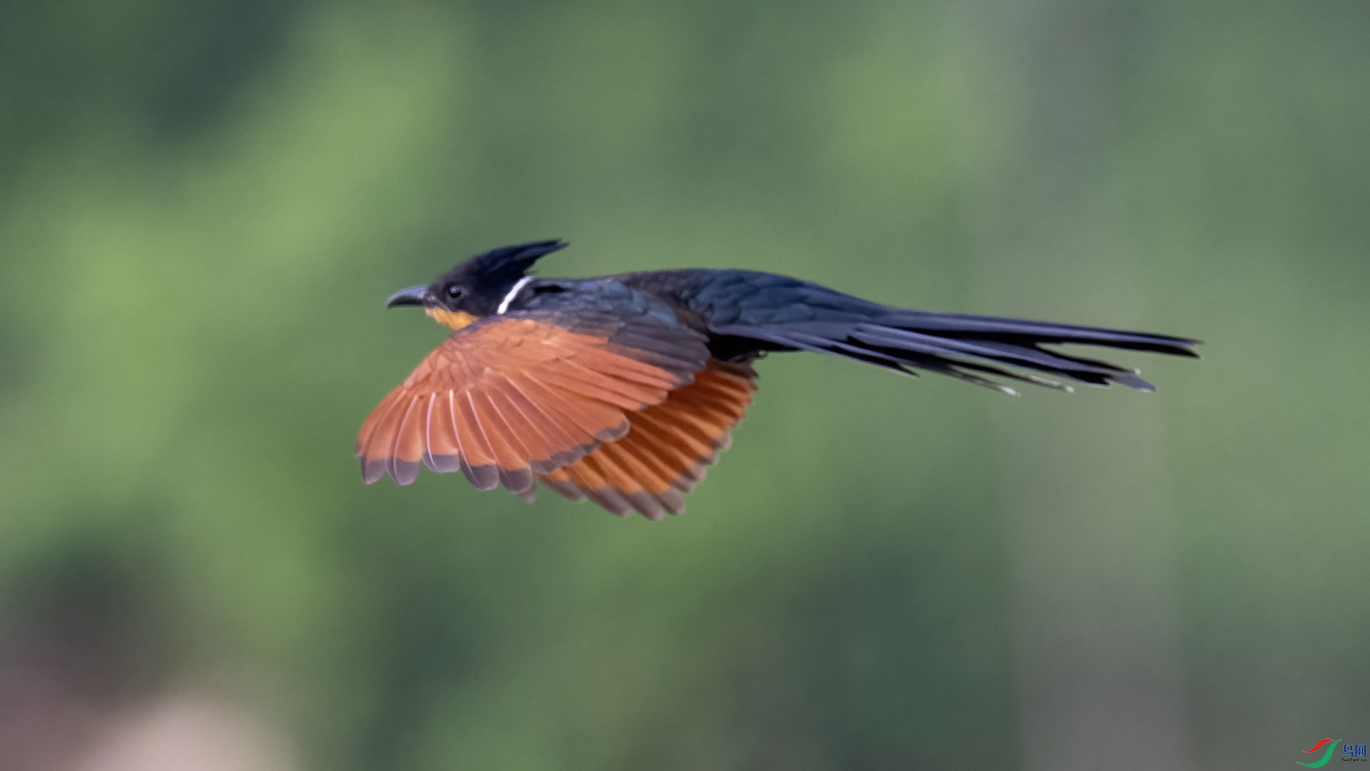 _DSC0039 ����.jpg