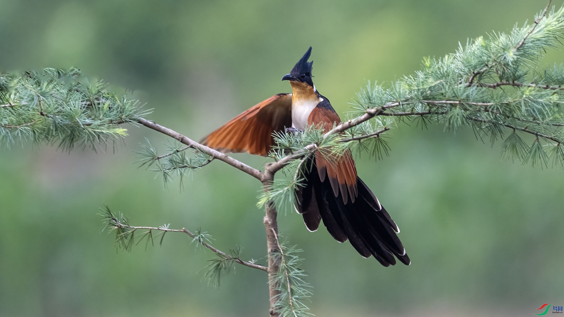 _DSC0082 ����.jpg