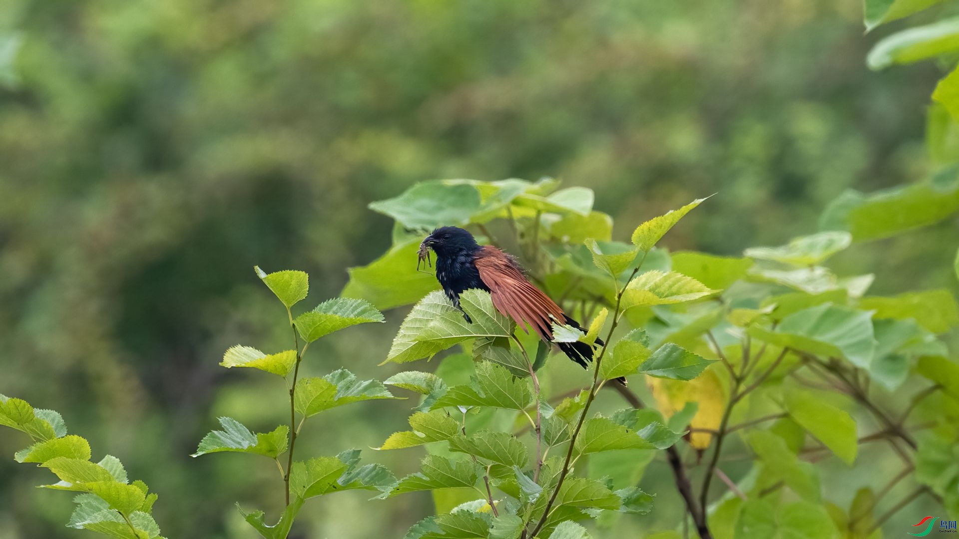 _DSC1518 ����.jpg