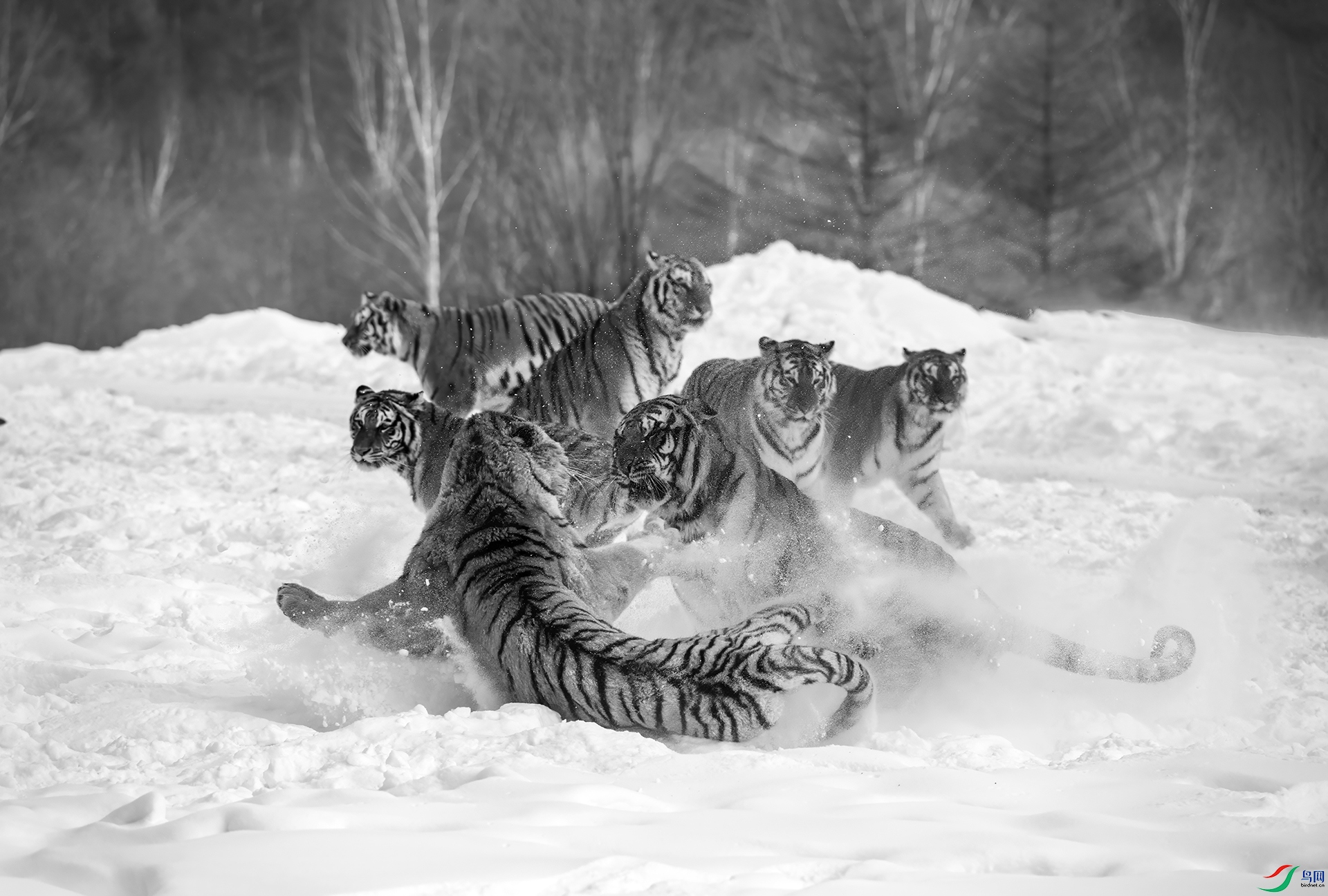 DSC_9617 ���� 2.jpg