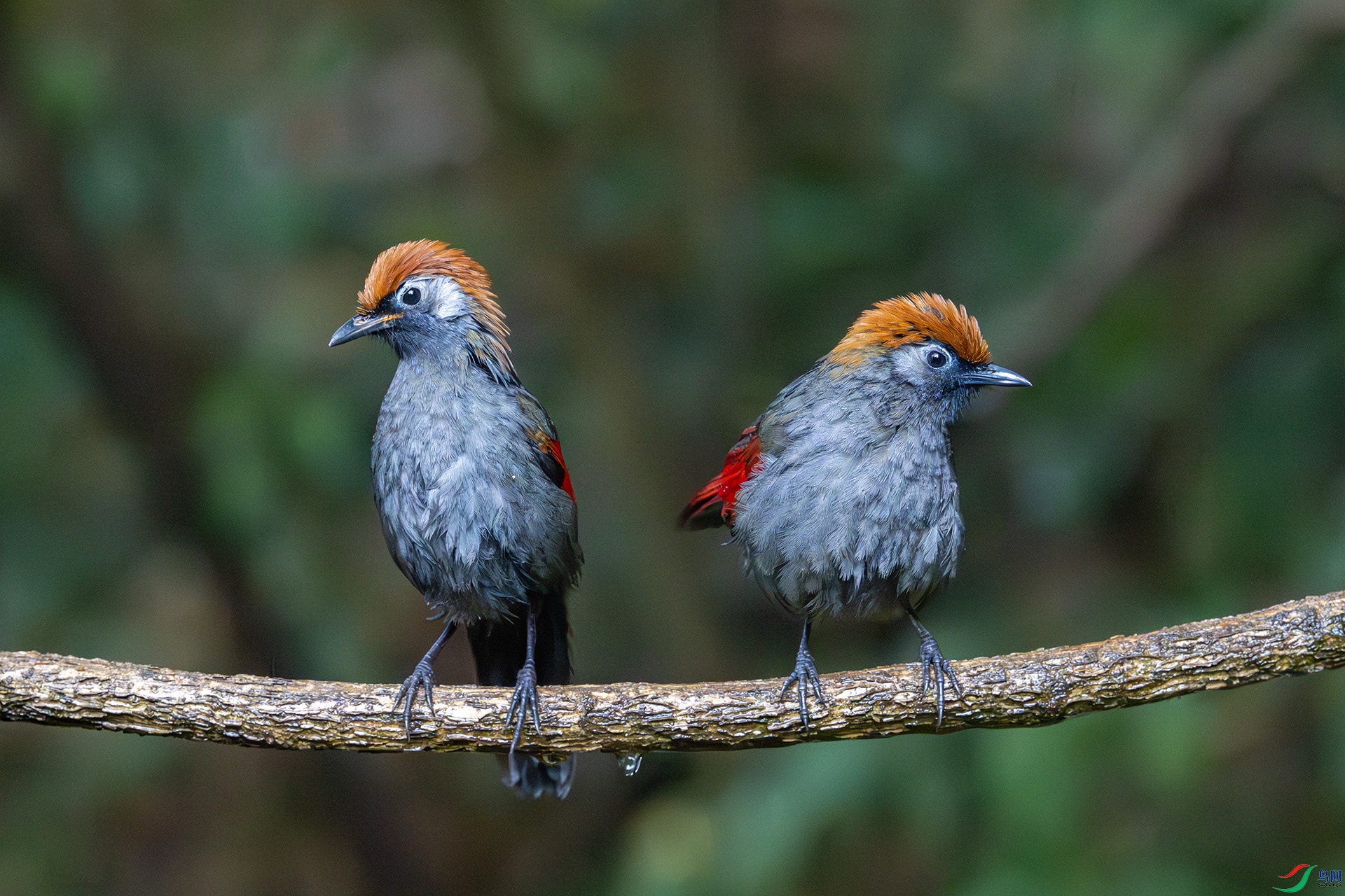 _DSC0151 ���� 1920 ��������.jpg