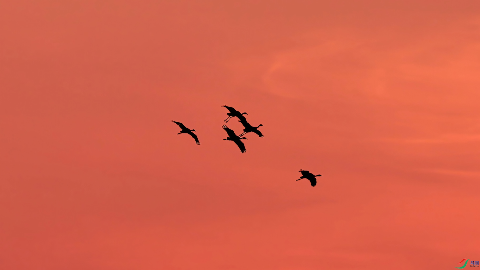 ��֡ 2026-01-14 201015_1.1.1.jpg