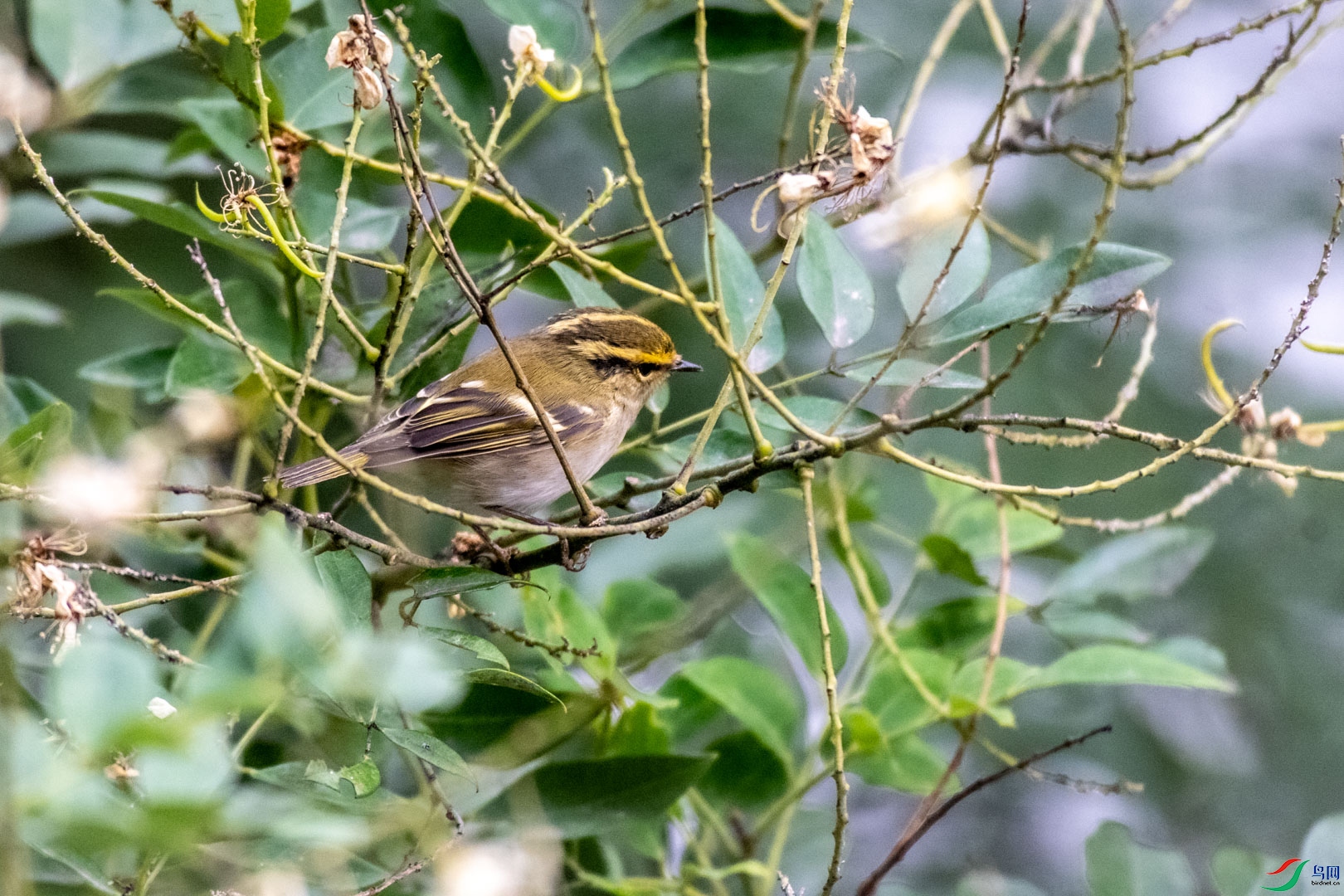 DSC_7210.jpg