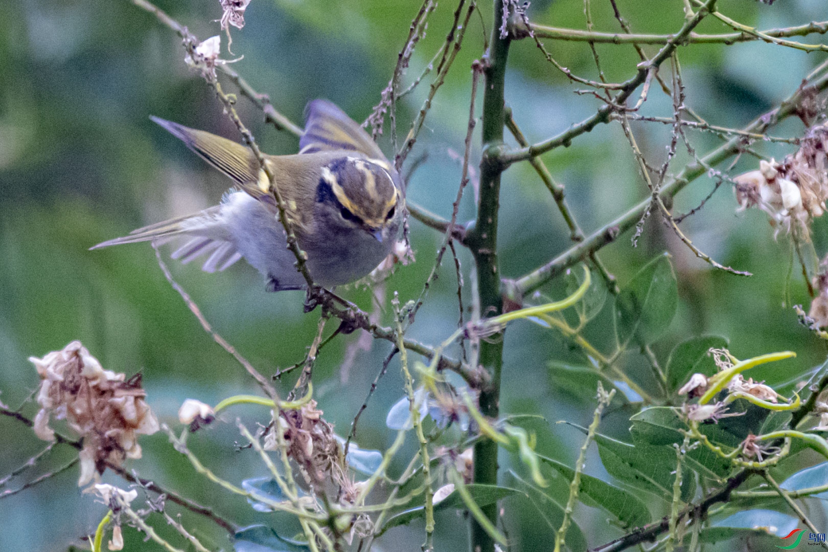 DSC_7365.jpg