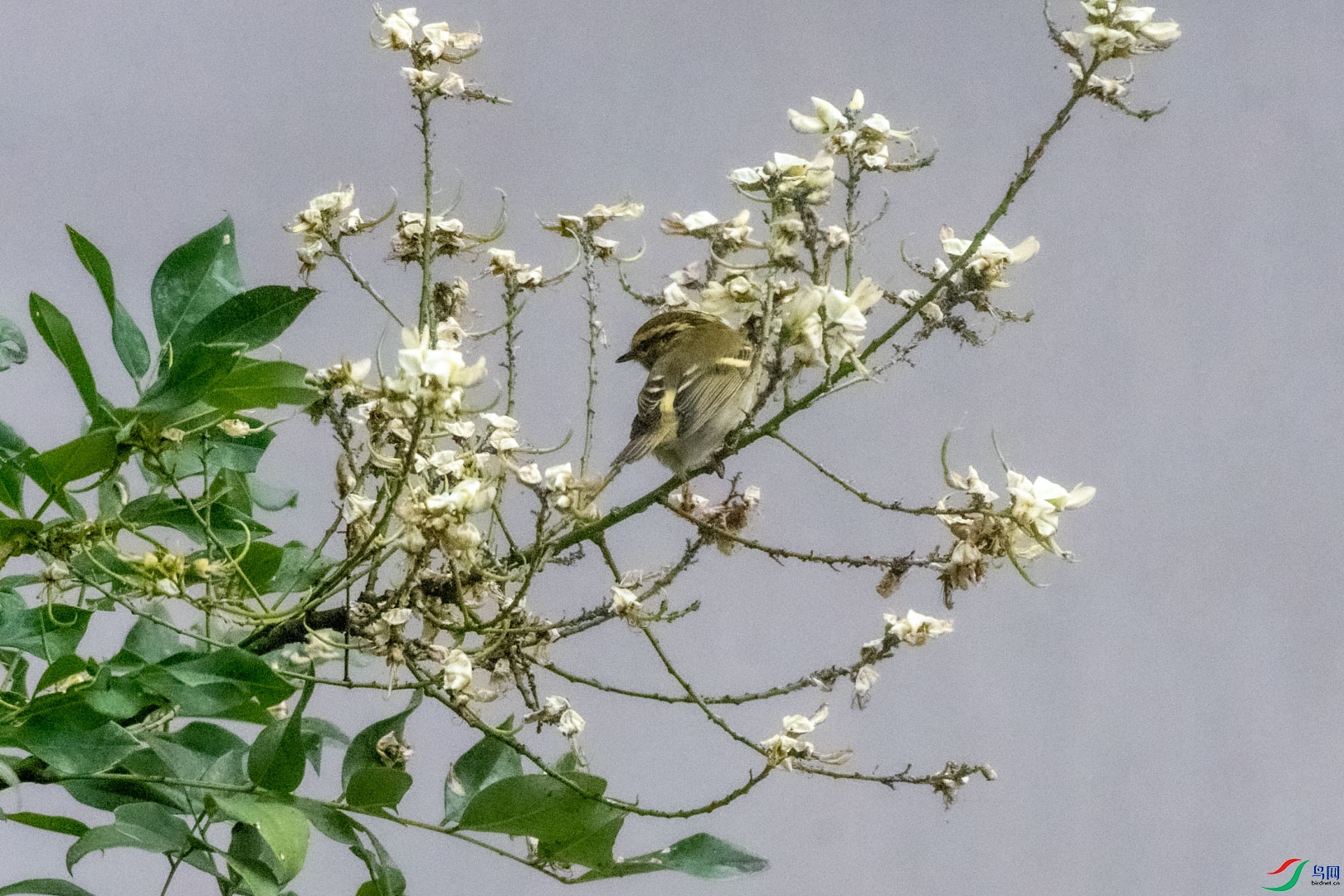DSC_7141.jpg