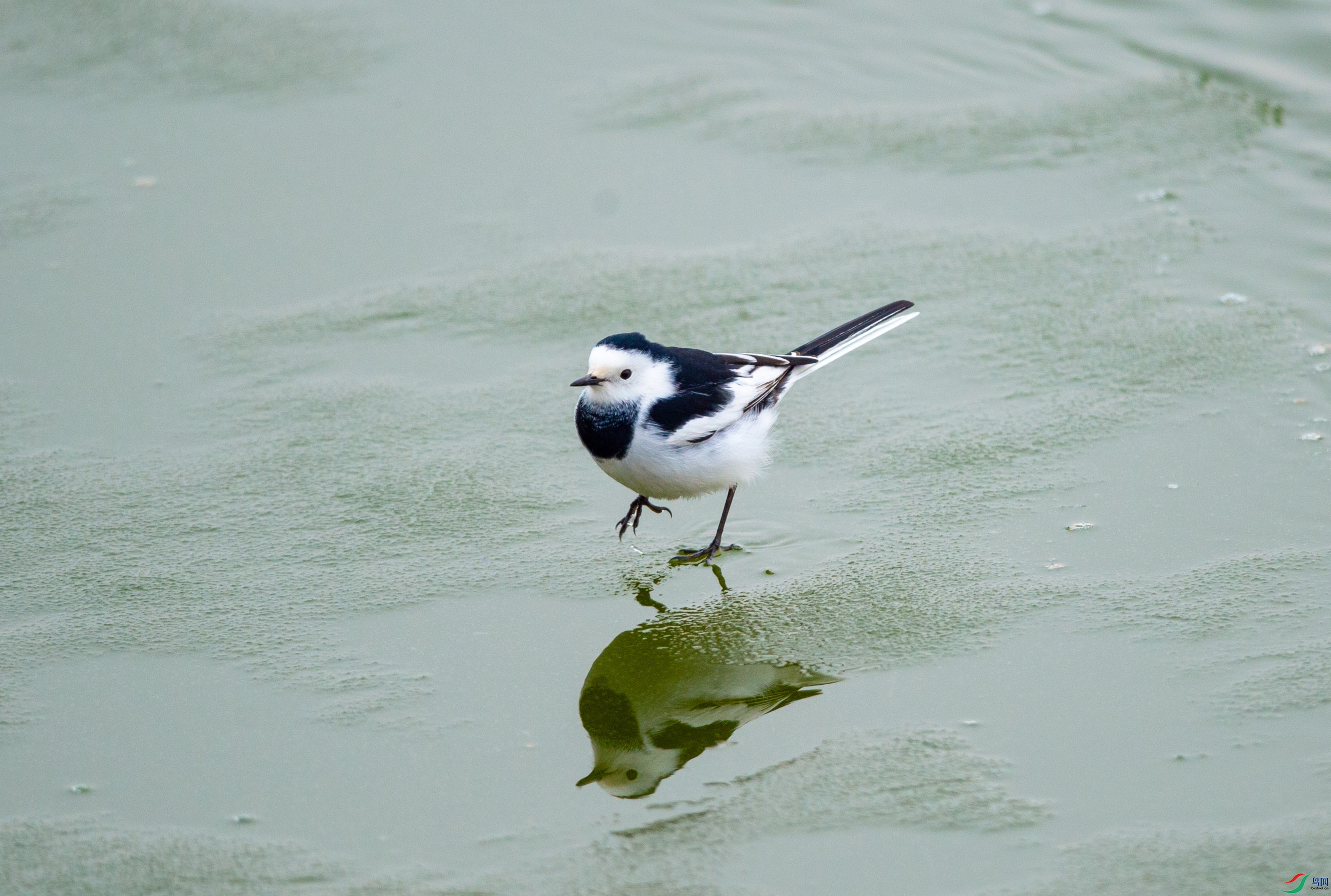 DSC_2020.jpg