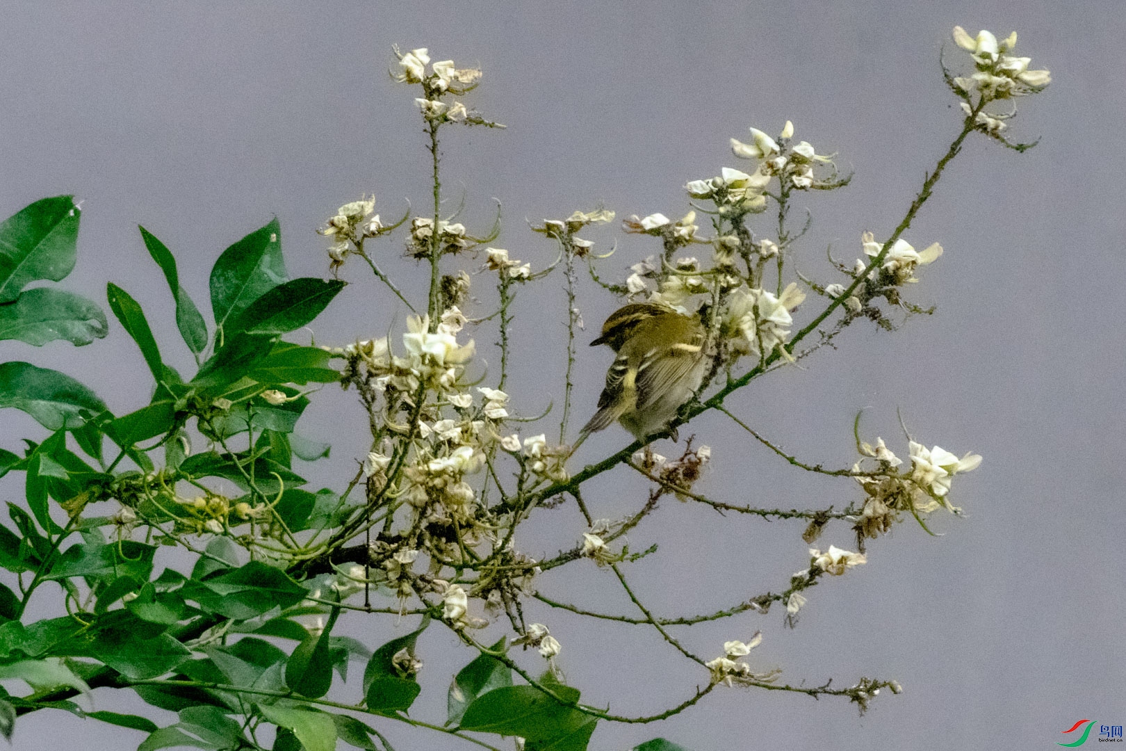 DSC_7140_1.jpg