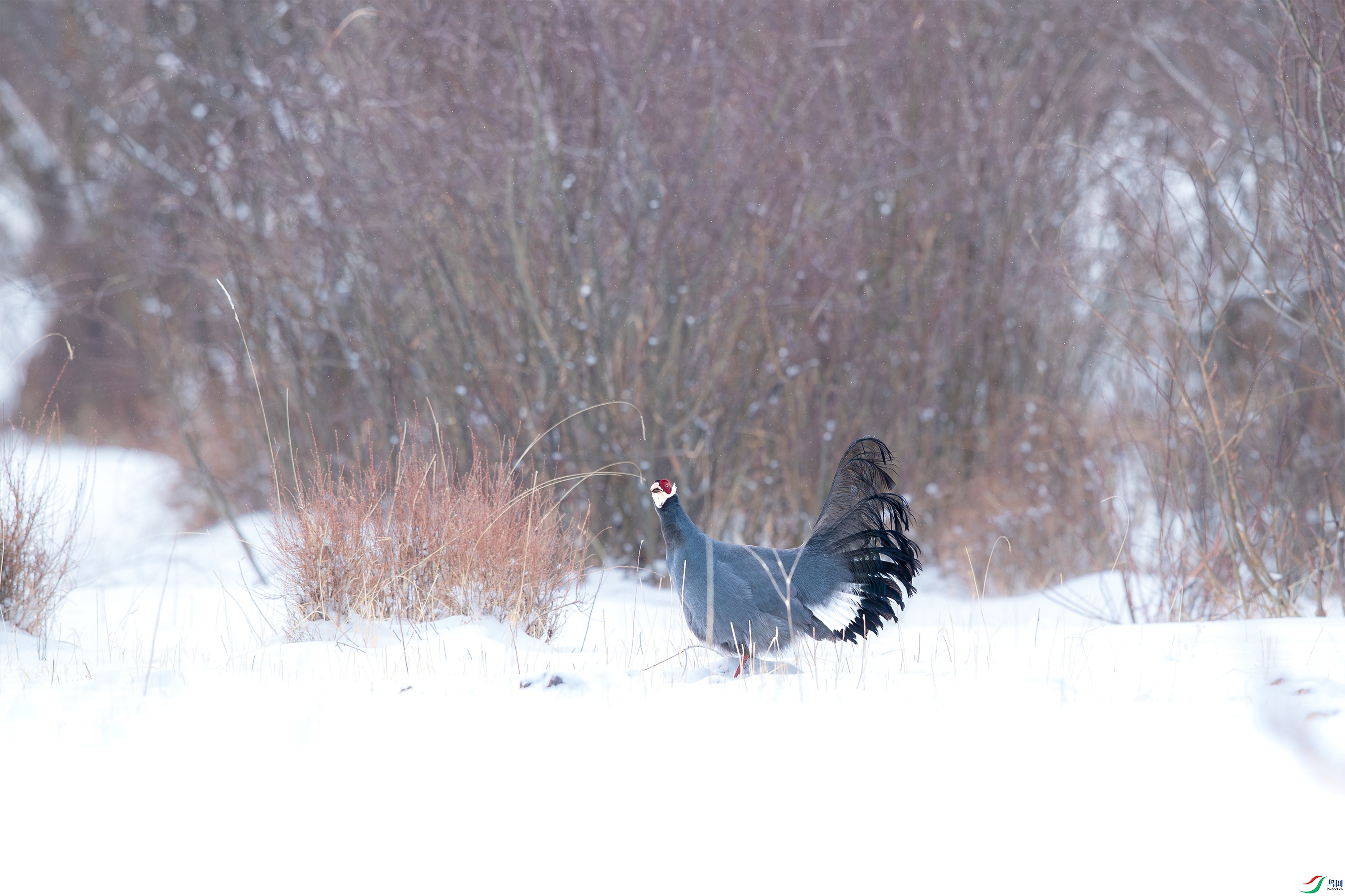 063A4064 -21-����.jpg