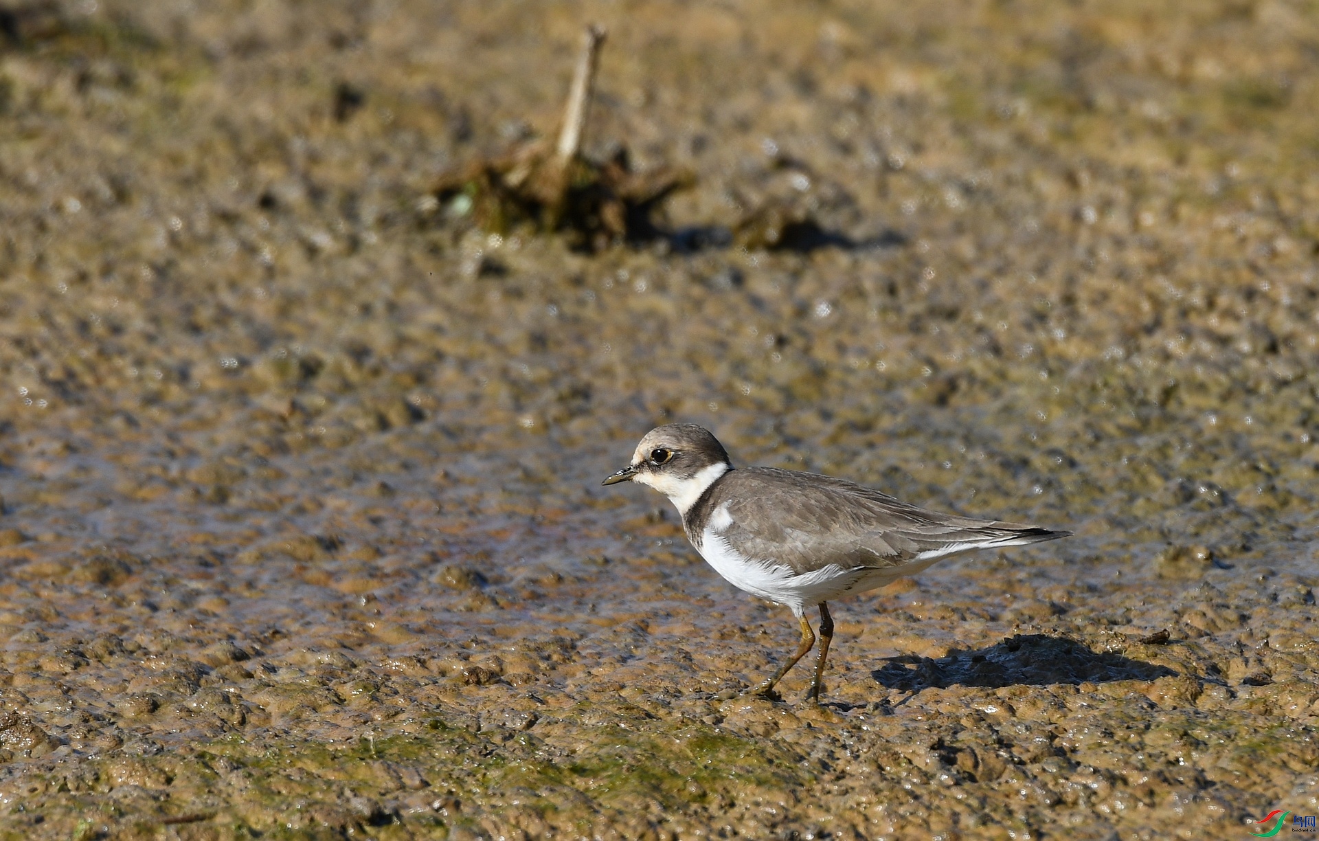 DSC_1126.jpg
