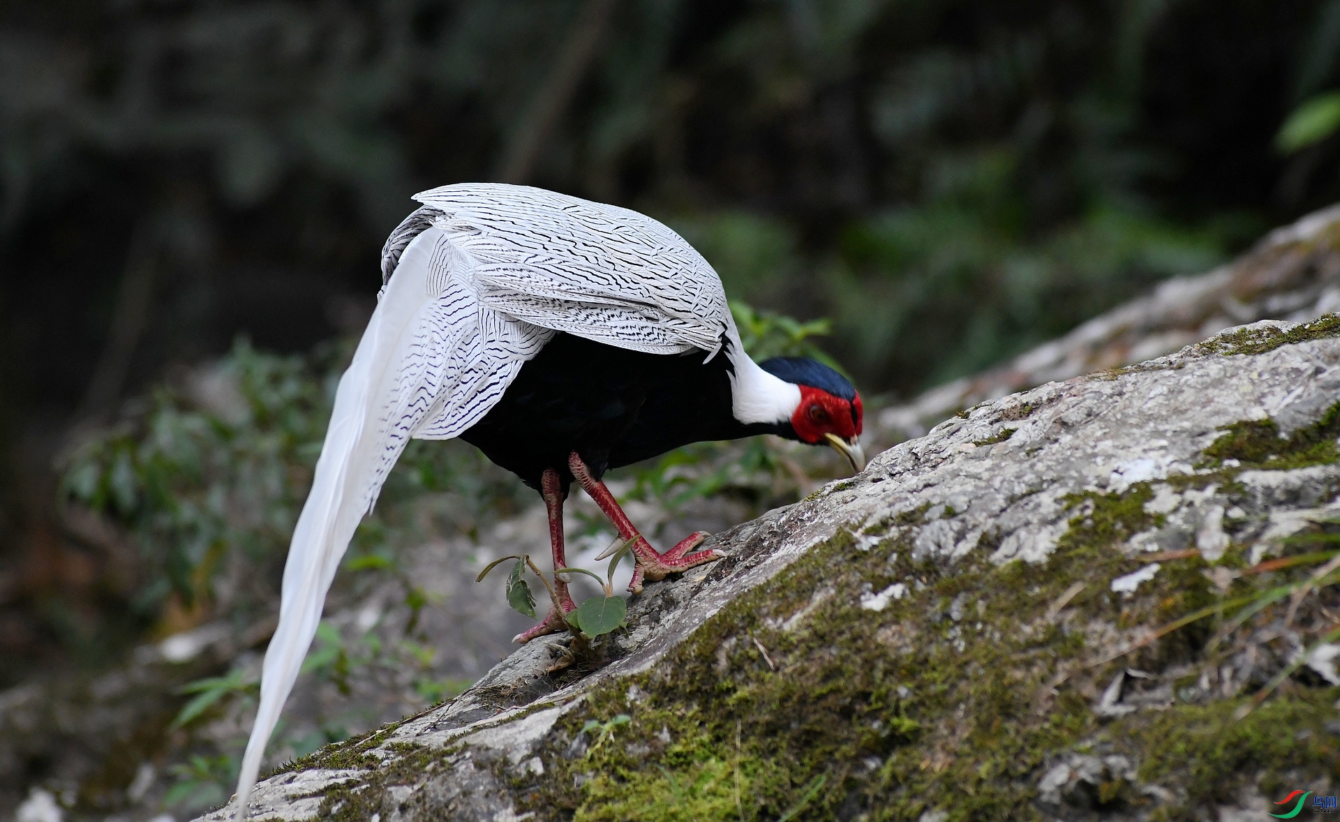 DSC_0639.jpg