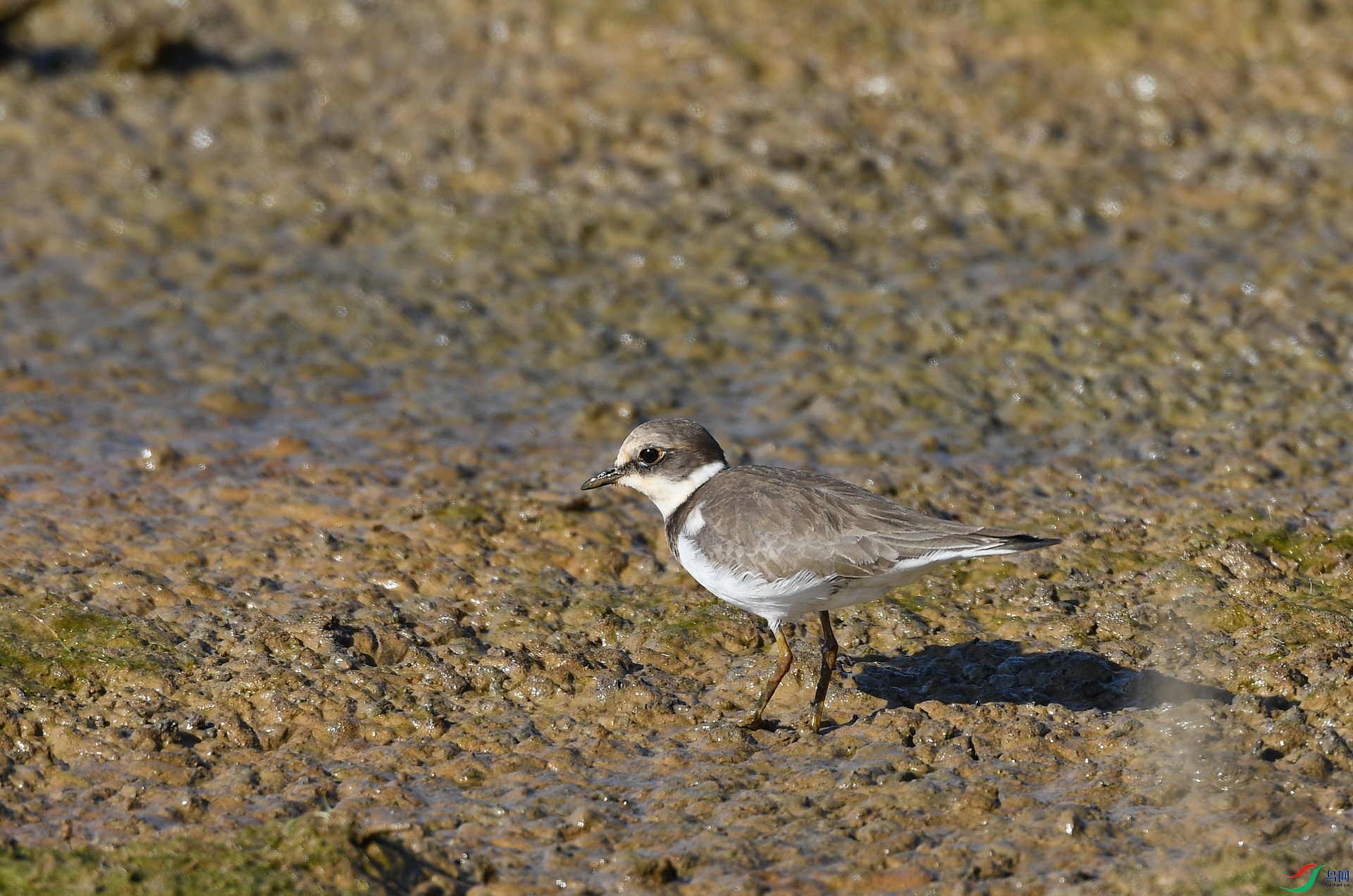 DSC_1124.jpg