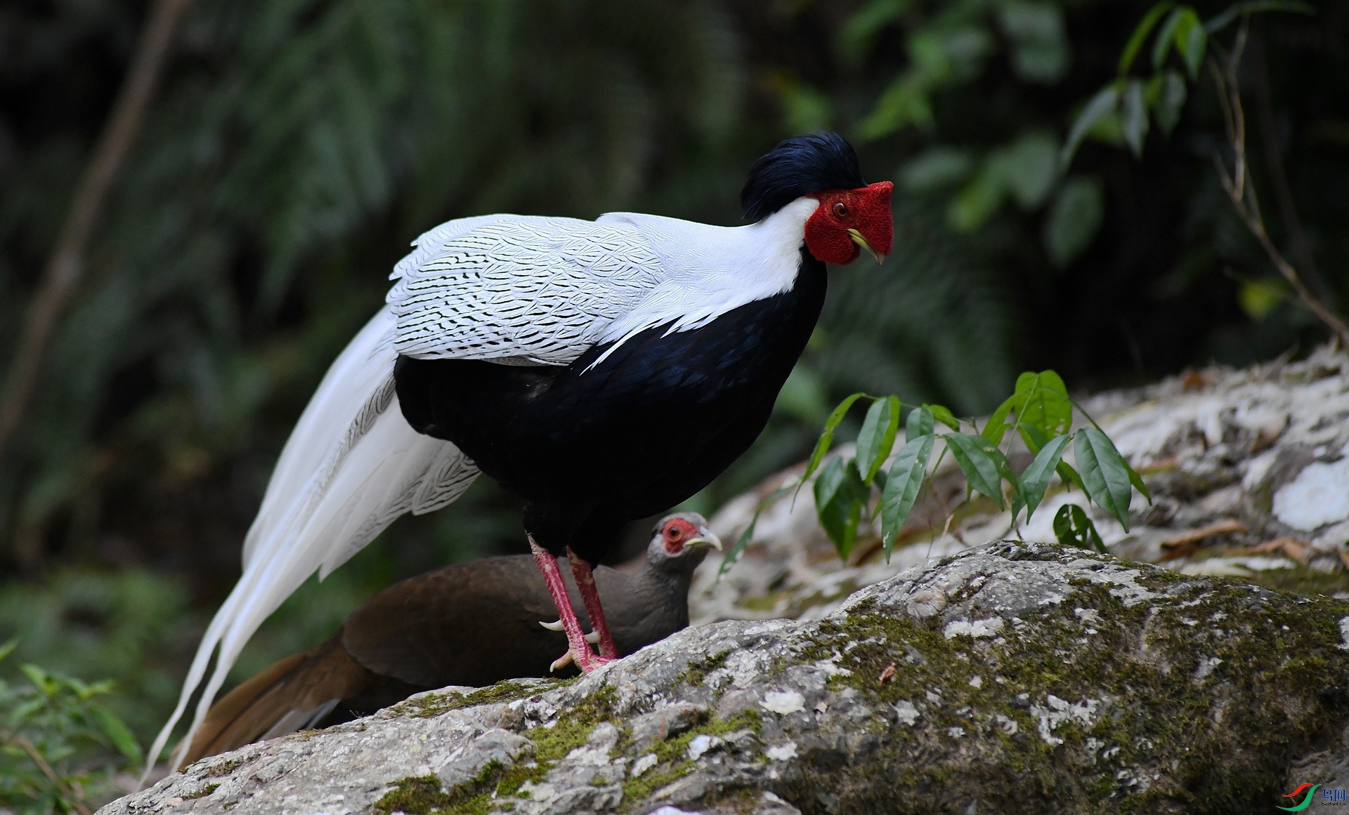 DSC_0577.jpg