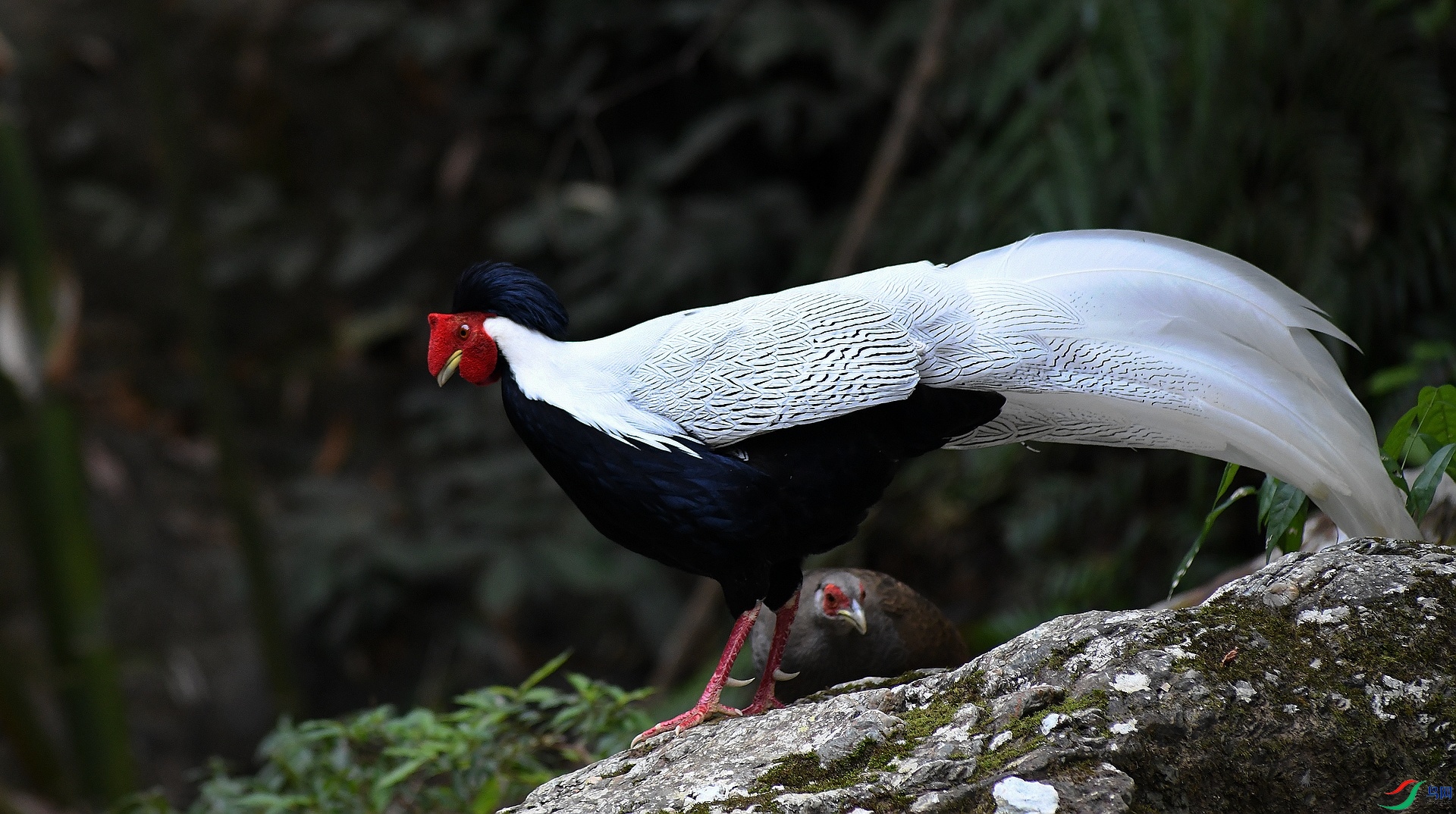 DSC_0569.jpg