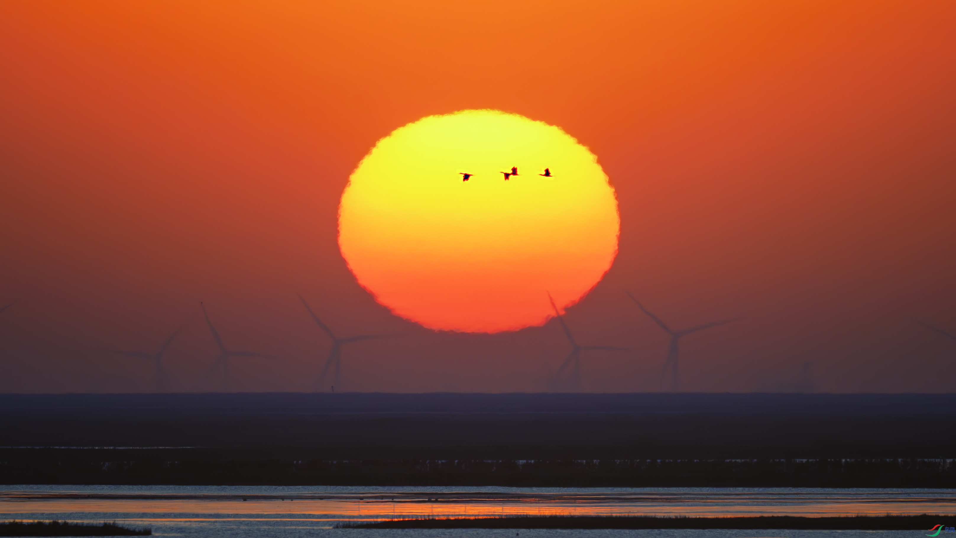 _DSC2037-����ǿ-NR1 ����.jpg