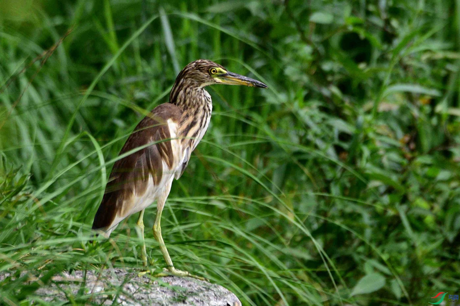 DSC_6041.JPG