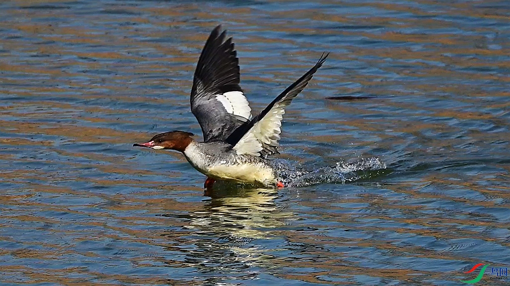 DSC_0163.JPG