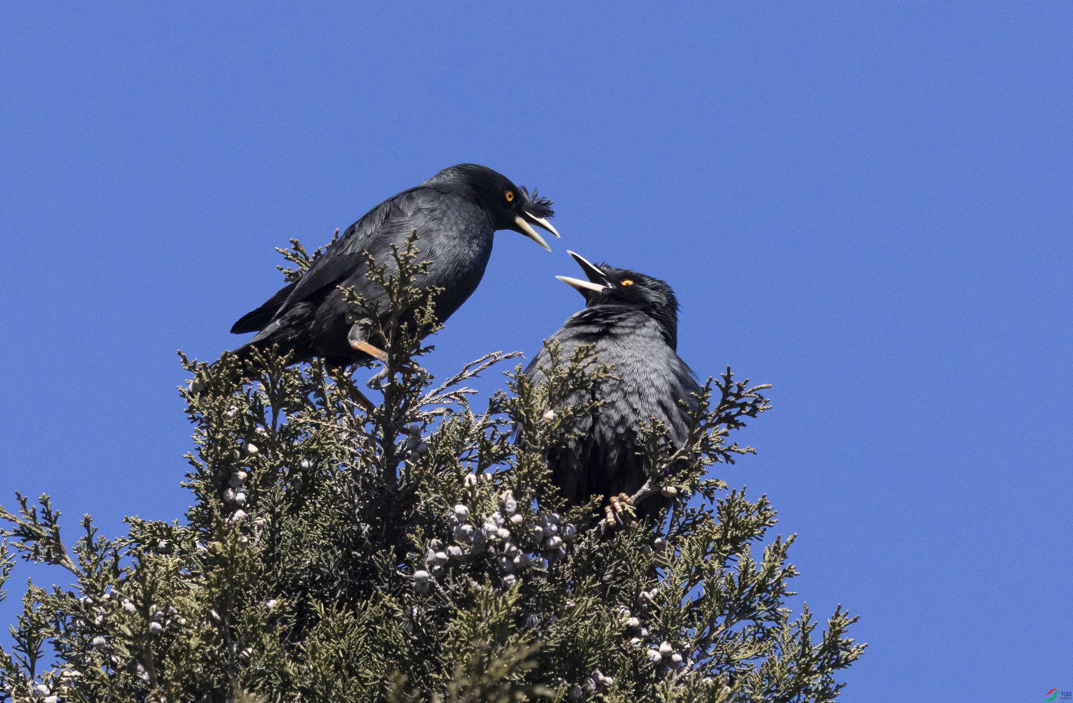 0K1A5642-1 ���� 2.jpg