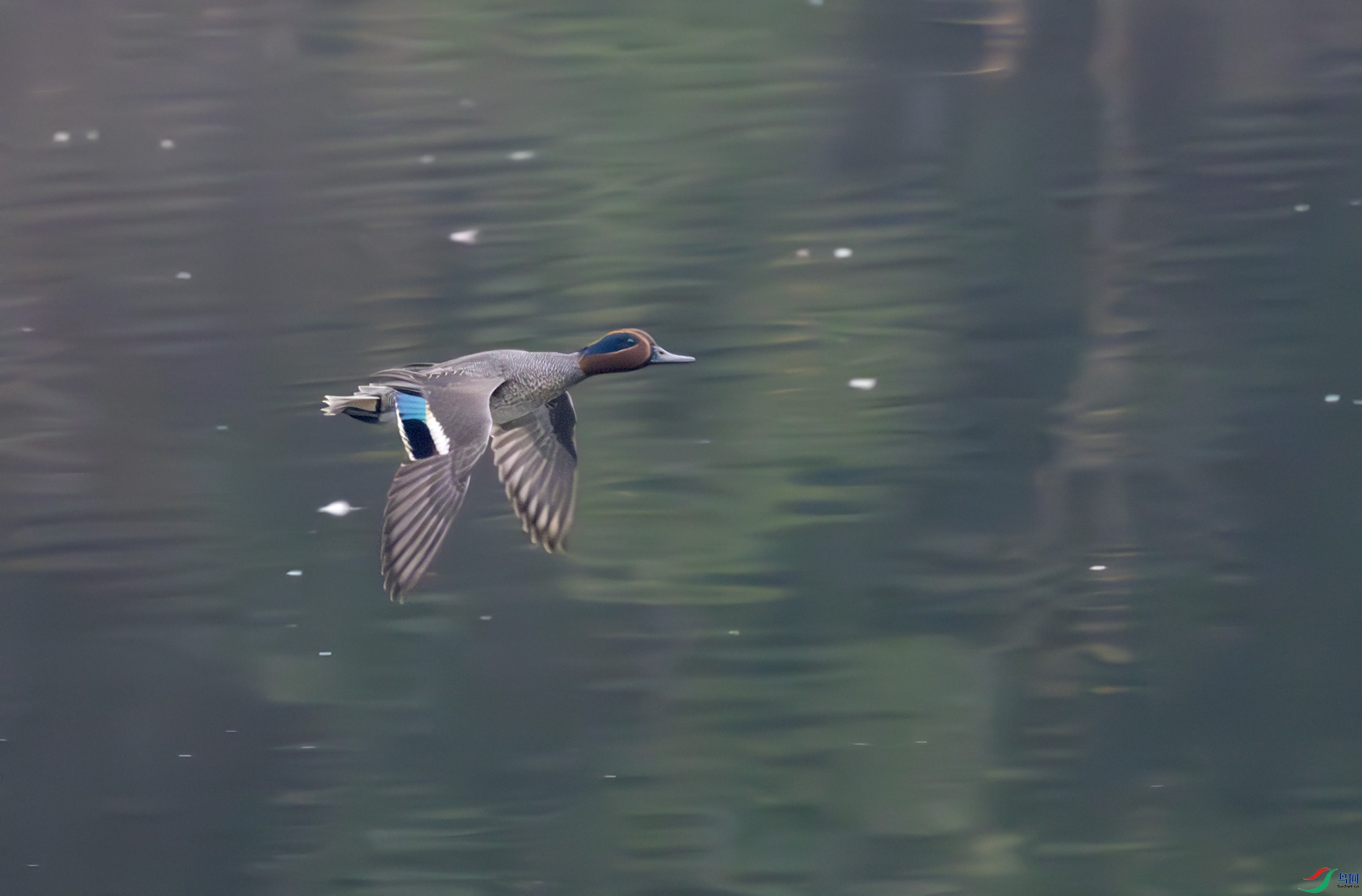 G47A8503-����ǿ-NR ����.jpg