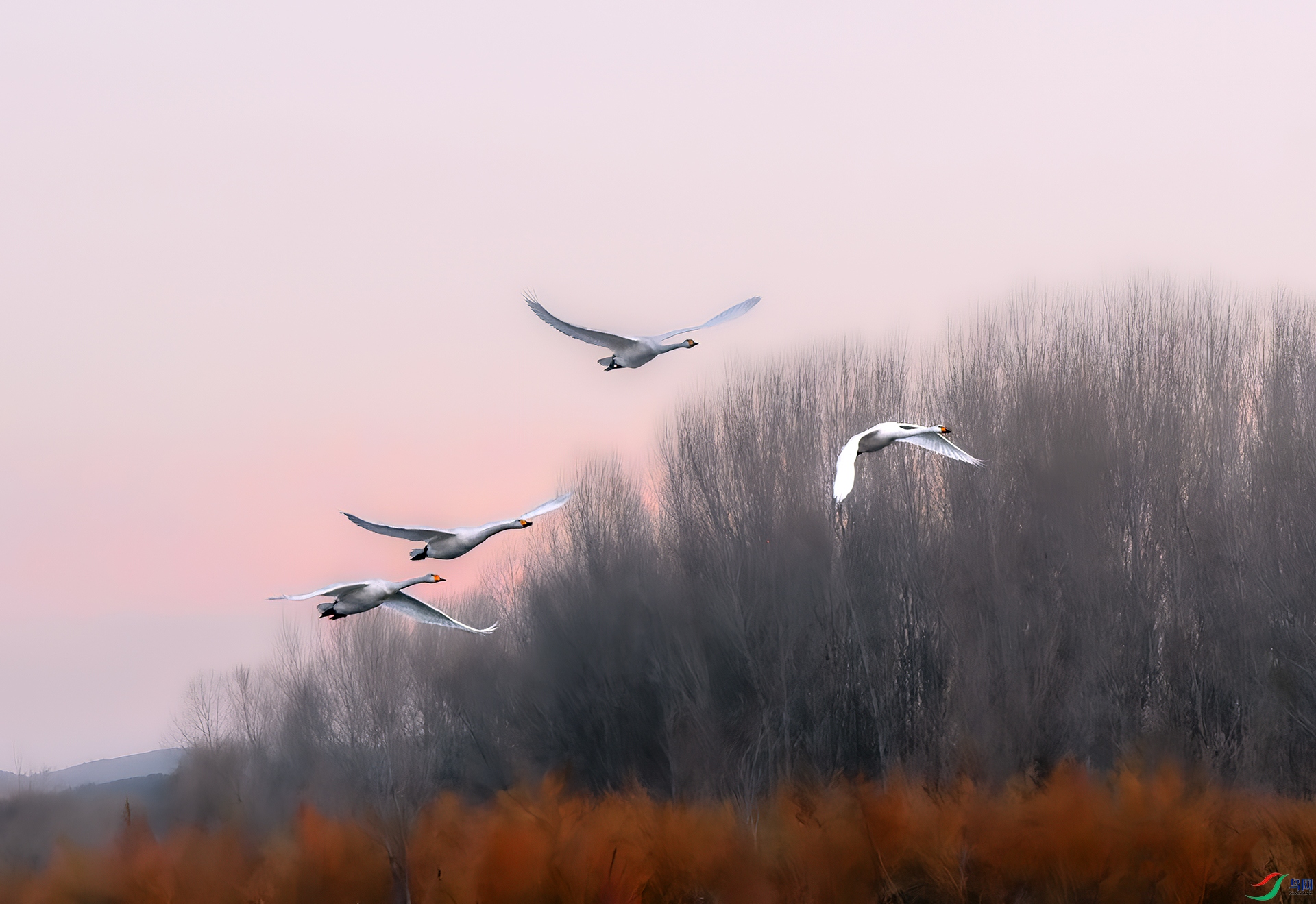 DSC_4207-NEF_ ��.jpg