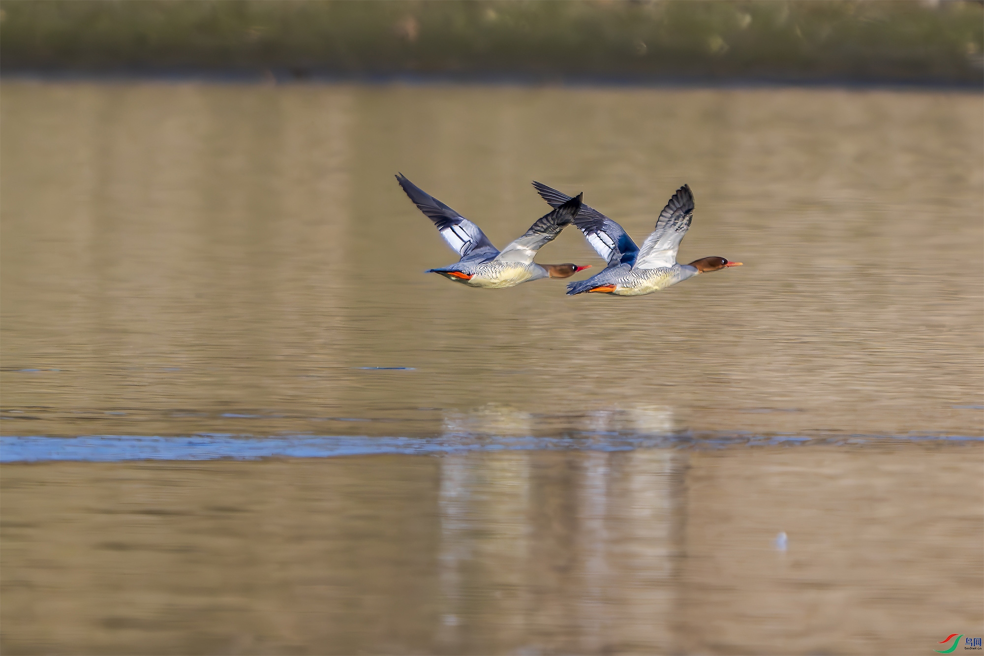 _DSC5200 ���� 2.jpg