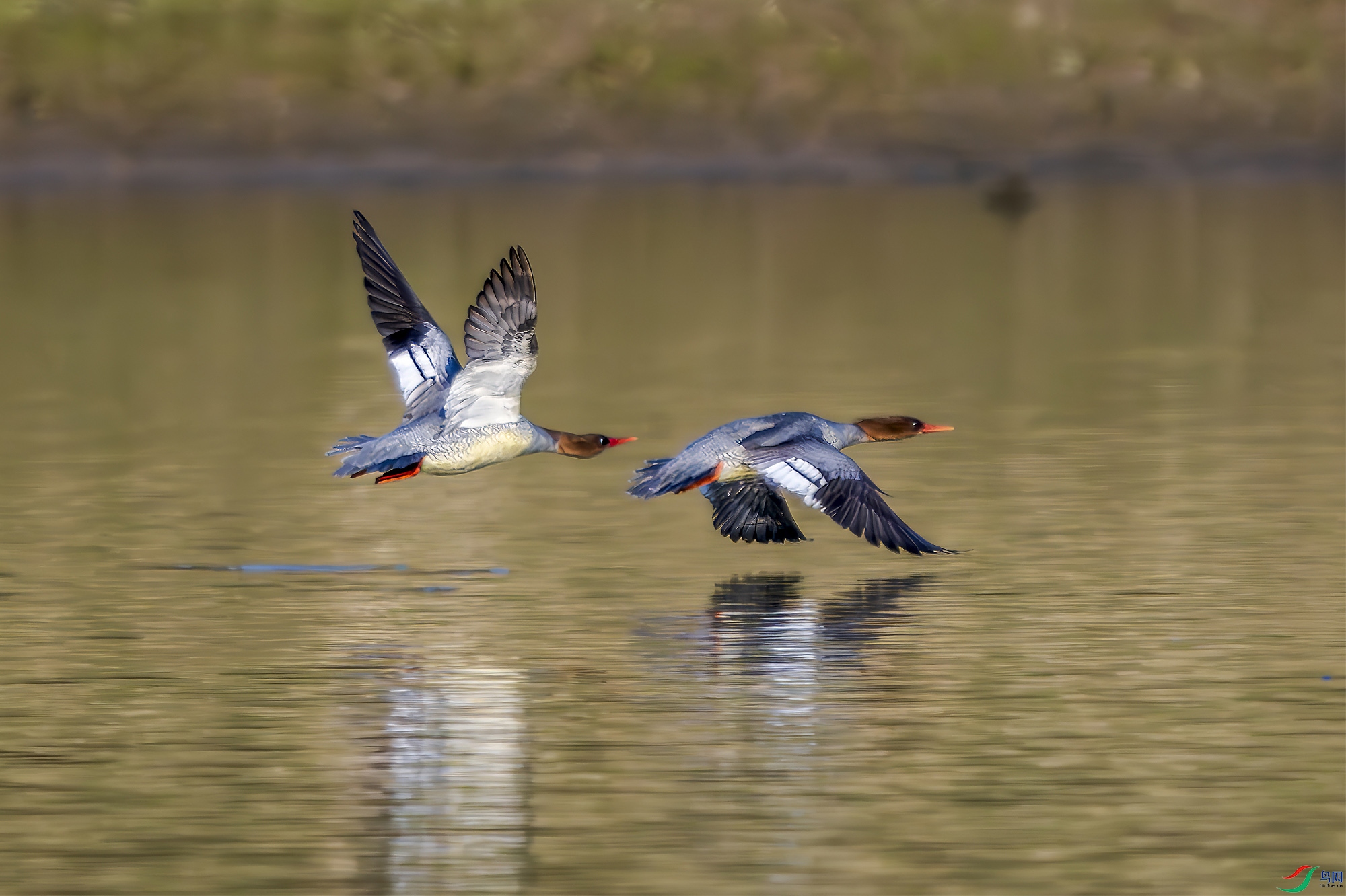 _DSC5123 ���� 2.jpg