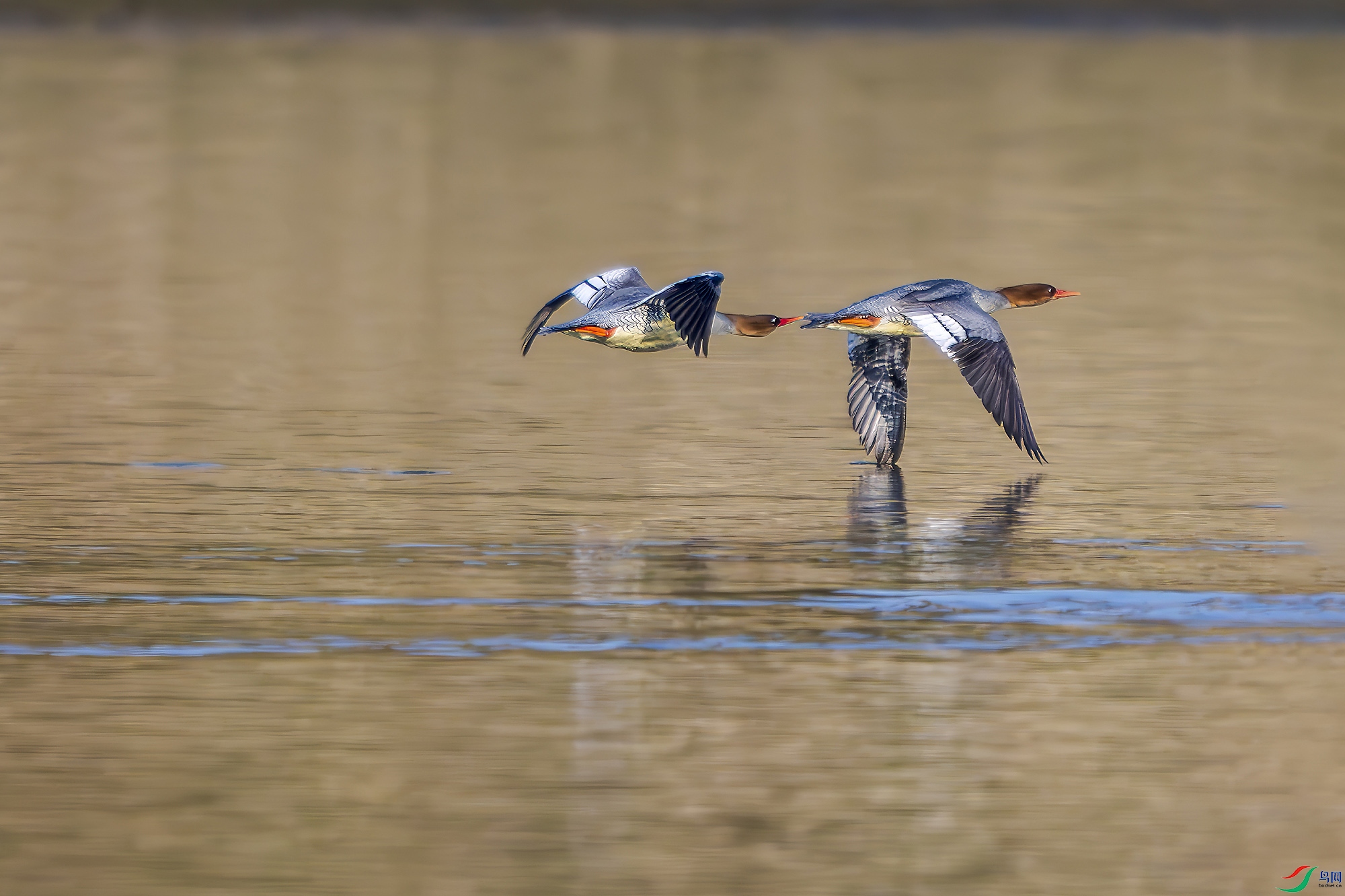 _DSC5190 ���� 2.jpg