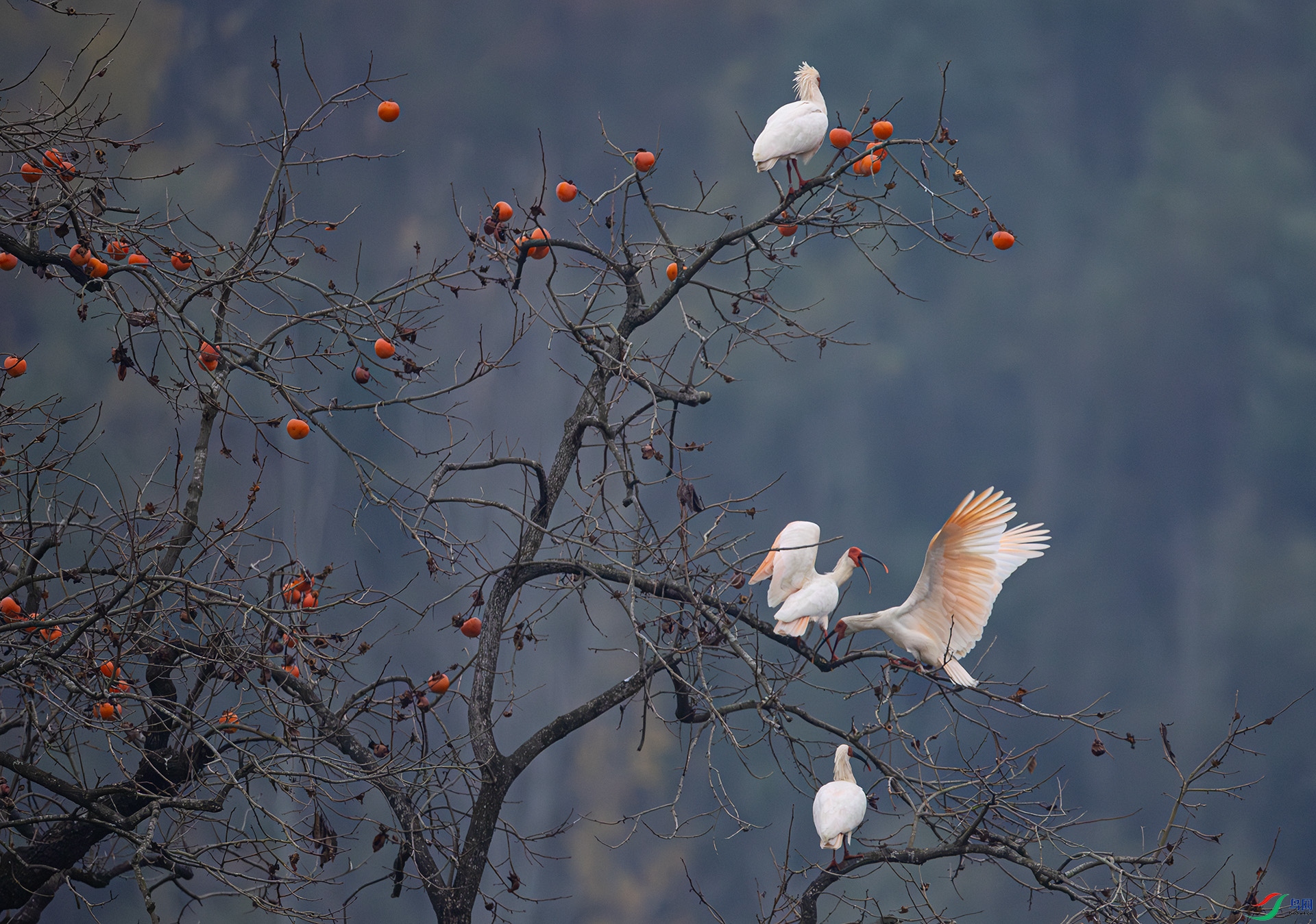 ��������  �������q