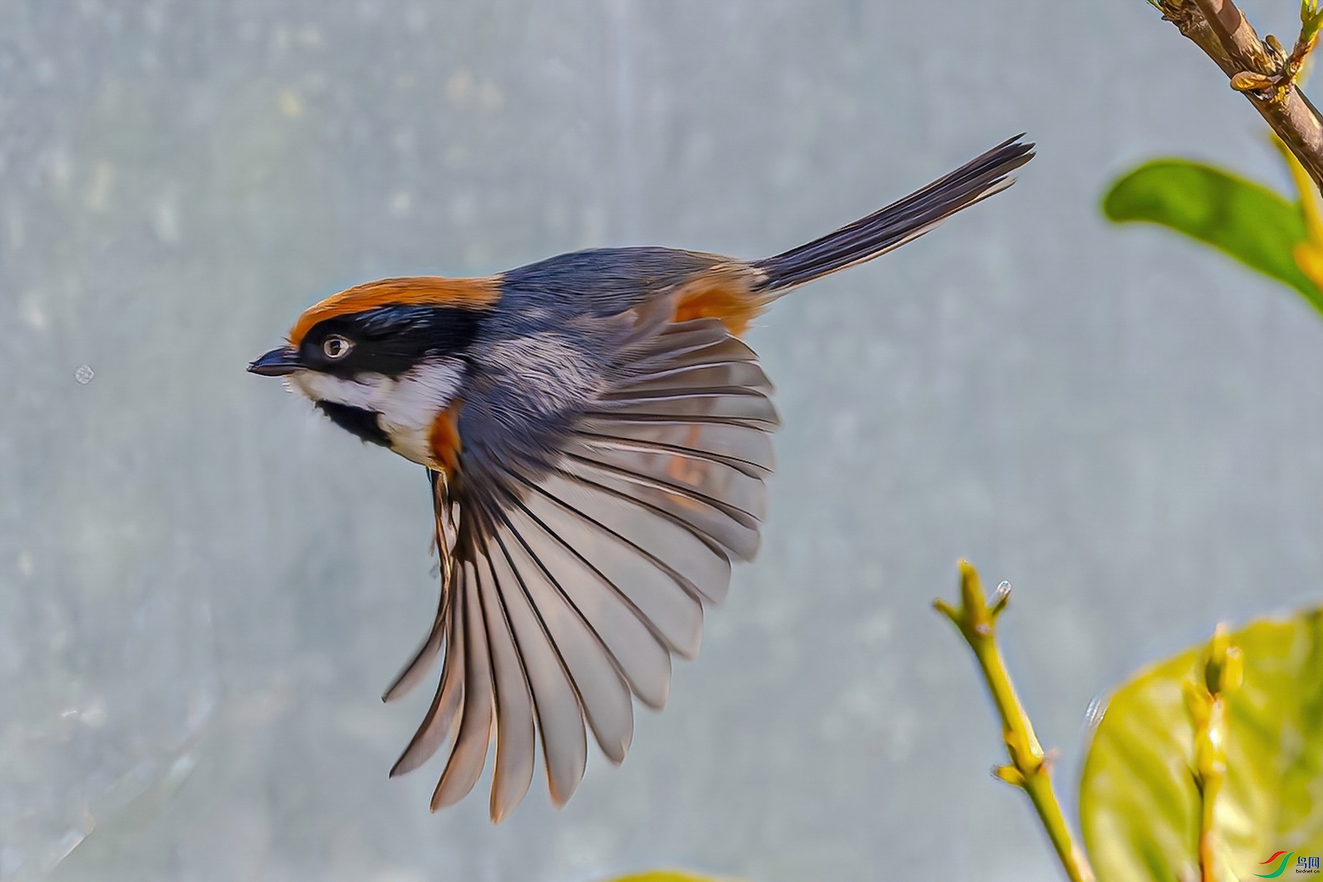 DSC_5501����2.jpg