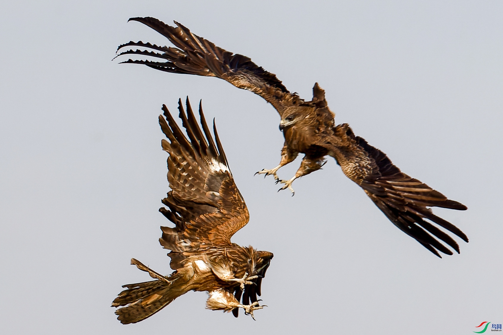 2X2_5445-CR2_DxO_DeepPRIME-1.jpg